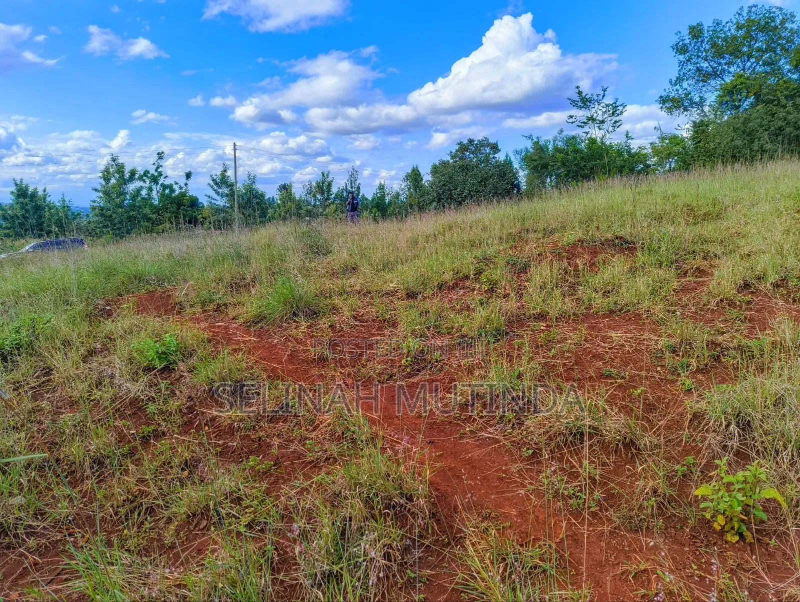 Crest View Gardens – Kenol Milimani in Kimorori/Wempa
