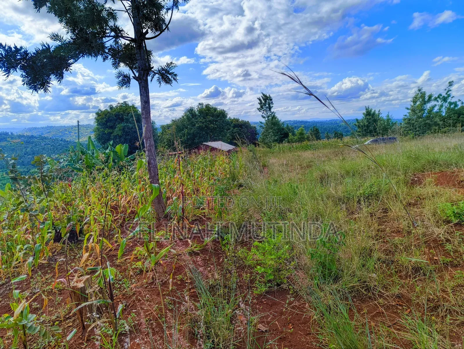 Crest View Gardens – Kenol Milimani in Kimorori/Wempa