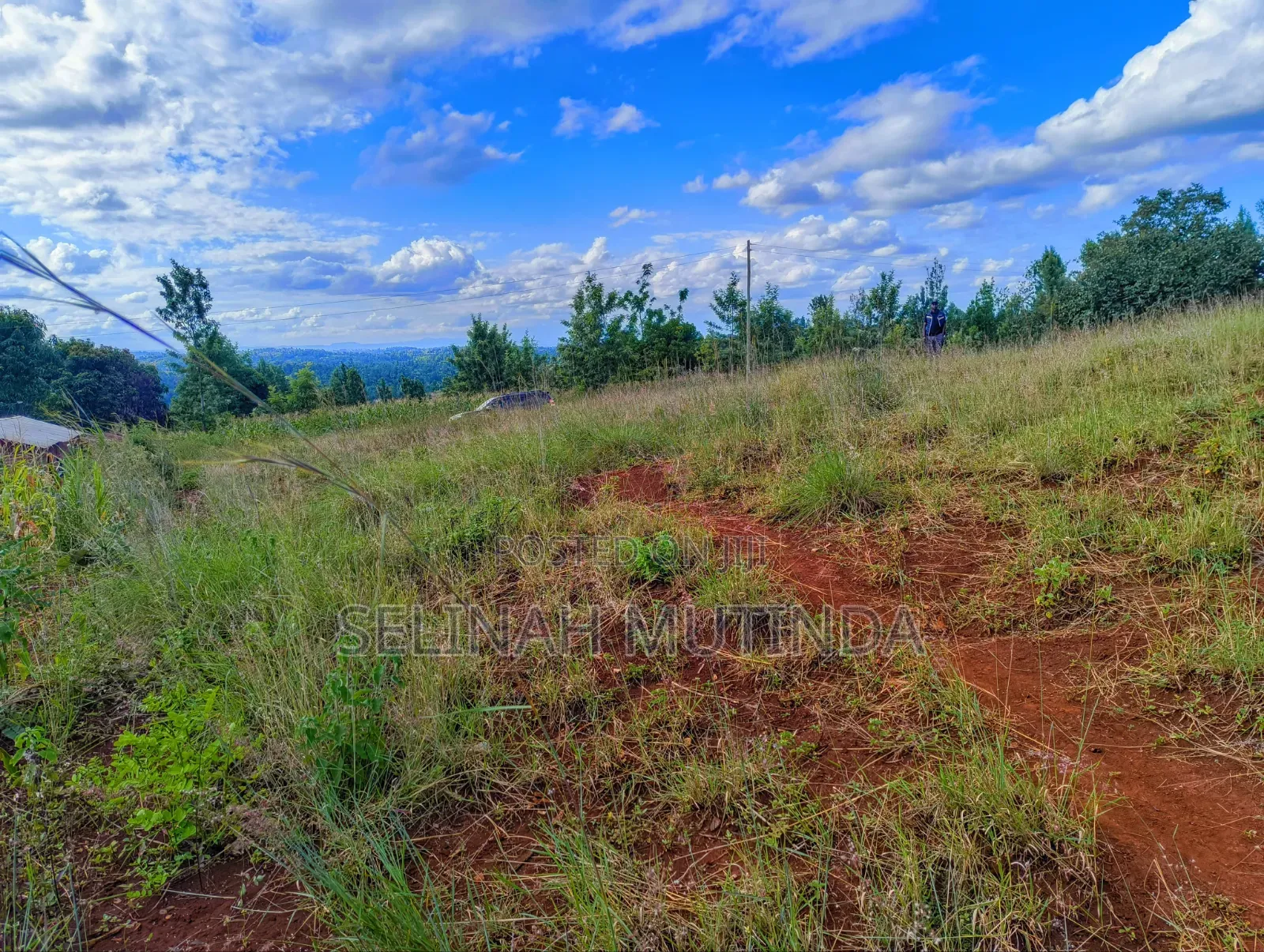 Crest View Gardens – Kenol Milimani in Kimorori/Wempa