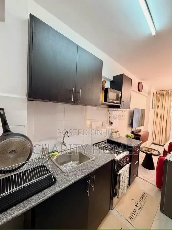 Ngara Furnished Studio Thika Road in Ngara