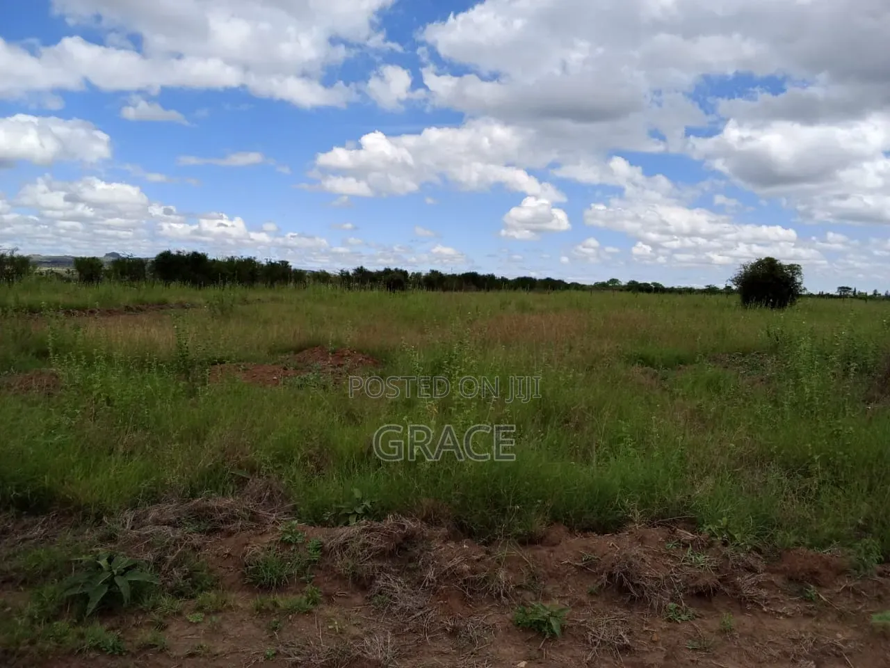 Lukenya Prime Plots Mombasa Kangundo Road in DayStar Area