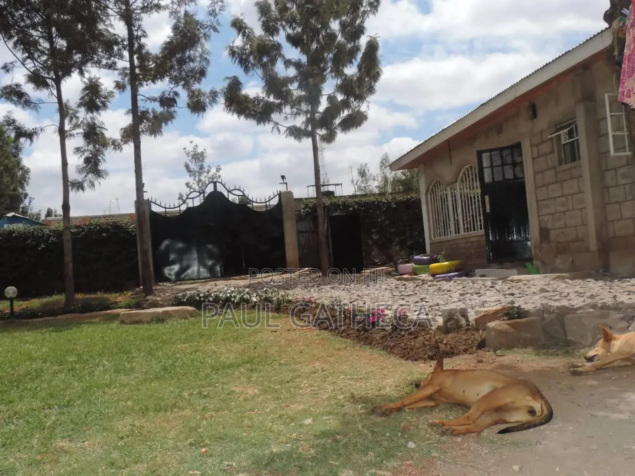 Plot for Sale in Githurai