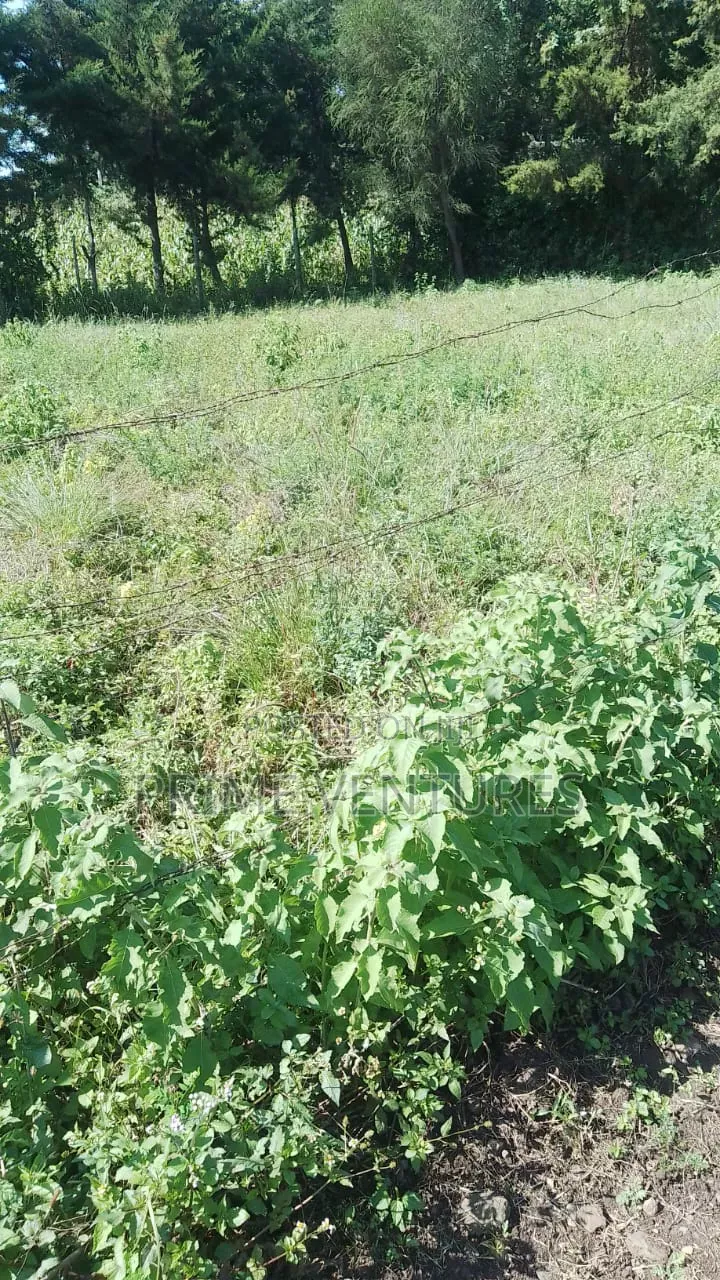 Prime 5 Acres in Kitengela in Kitengela