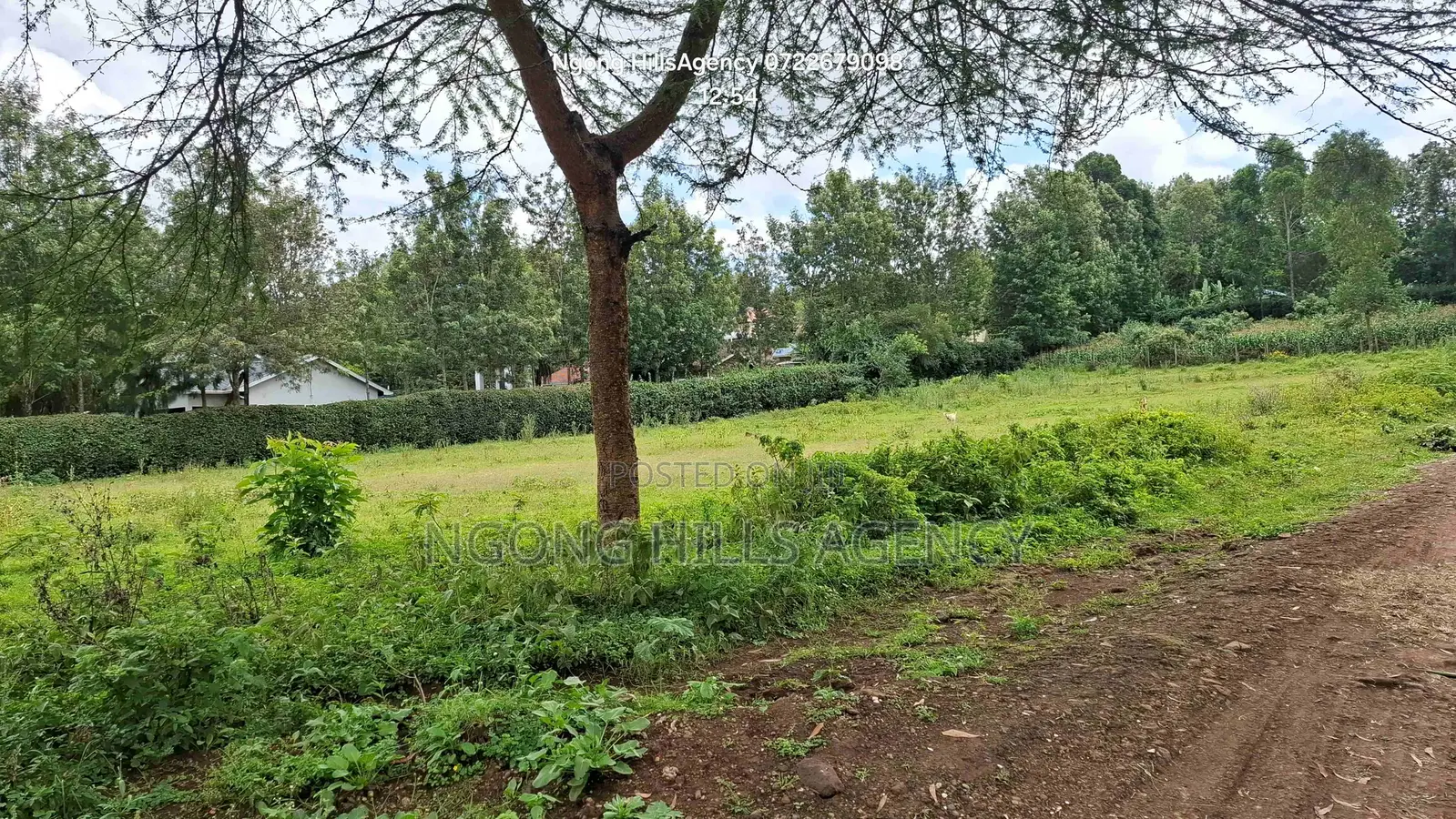 Prime 50x100 Residential Plots – Ololua, Ngong in Oluulua