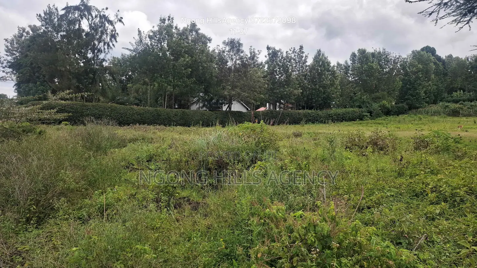 Prime 50x100 Residential Plots – Ololua, Ngong in Oluulua