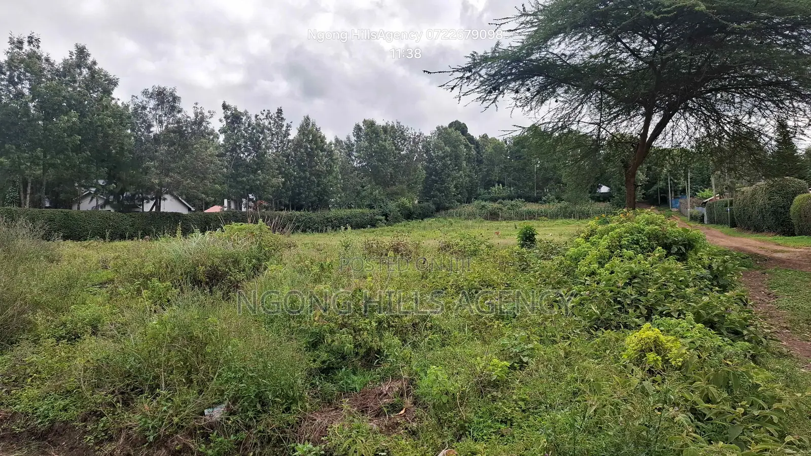 Prime 50x100 Residential Plots – Ololua, Ngong in Oluulua