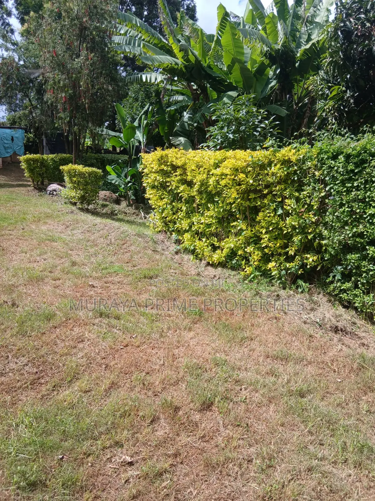 Prime Quarter Acre for Sale – Kerarapon Drive in Kerarapon