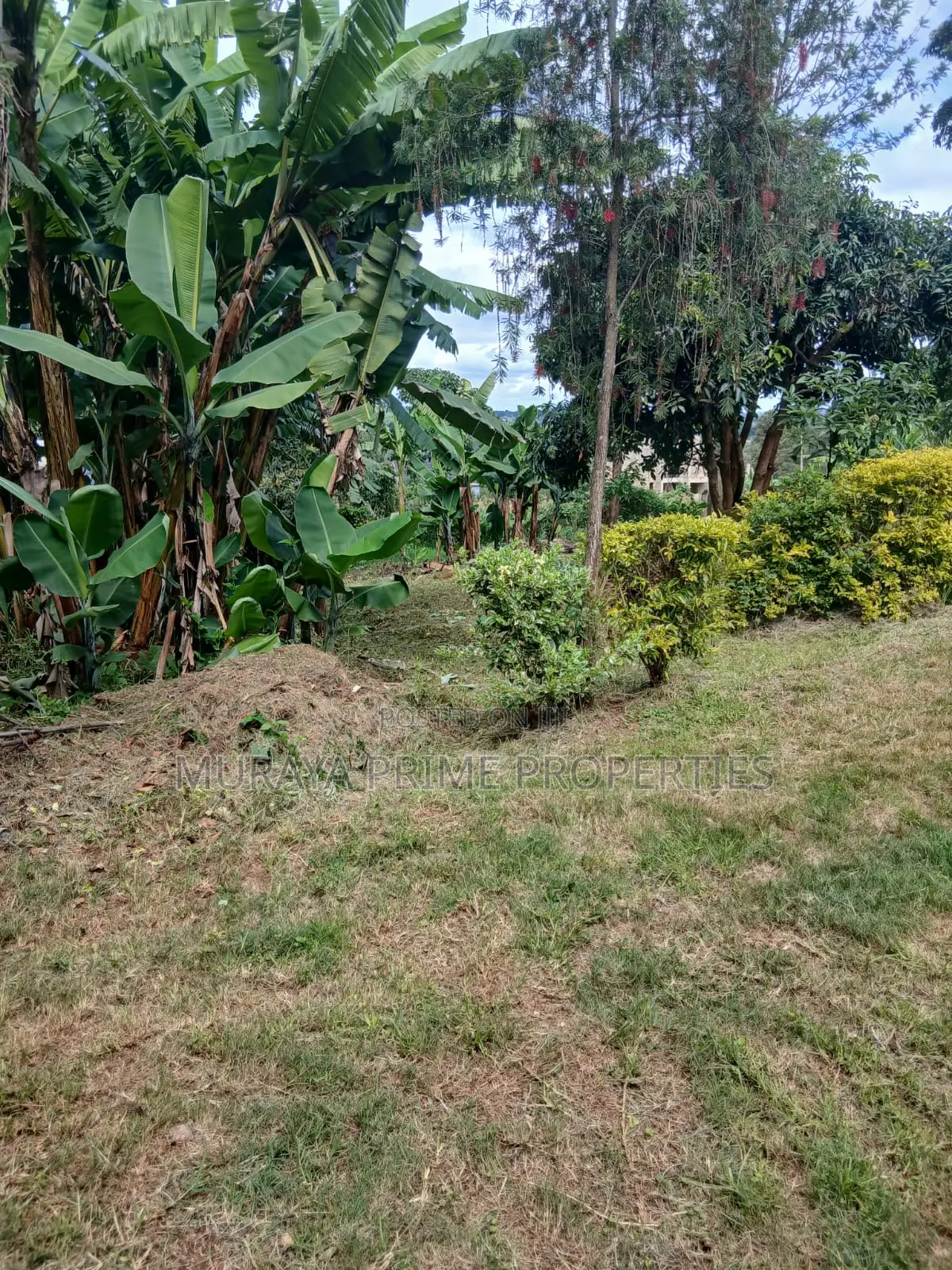 Prime Quarter Acre for Sale – Kerarapon Drive in Kerarapon
