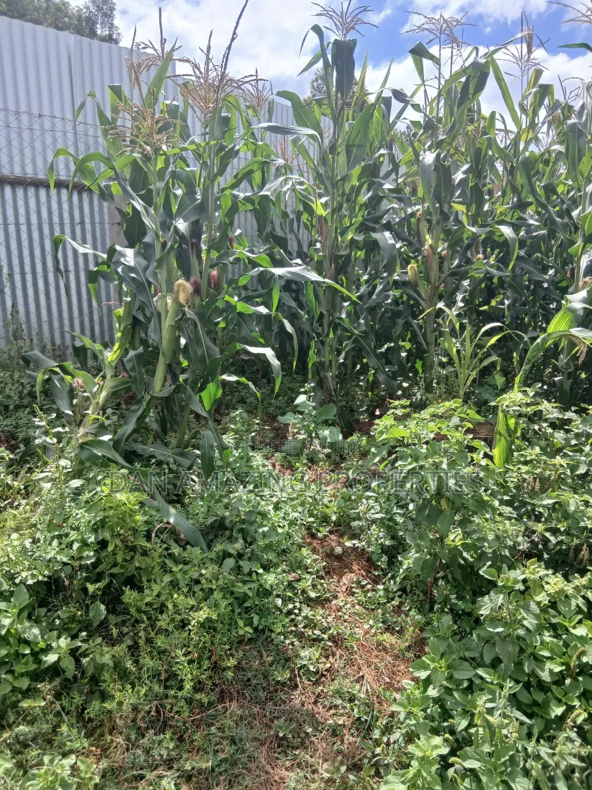 3/4 Acre for Sale in Kerarapon Drive Ideal F Residential Pure Red Soil in Kerarapon