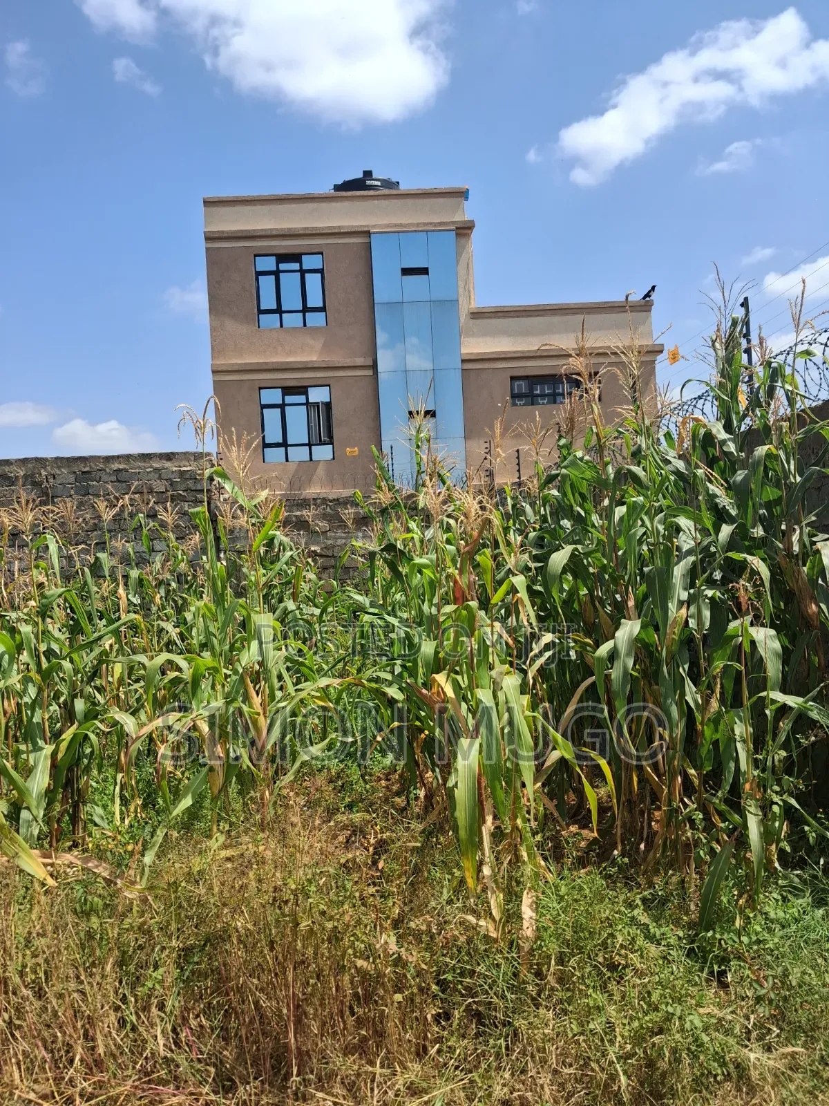 Ruiru Kimbo Matangi Prime 40x60 Ready Freehold Title in Membley Estate