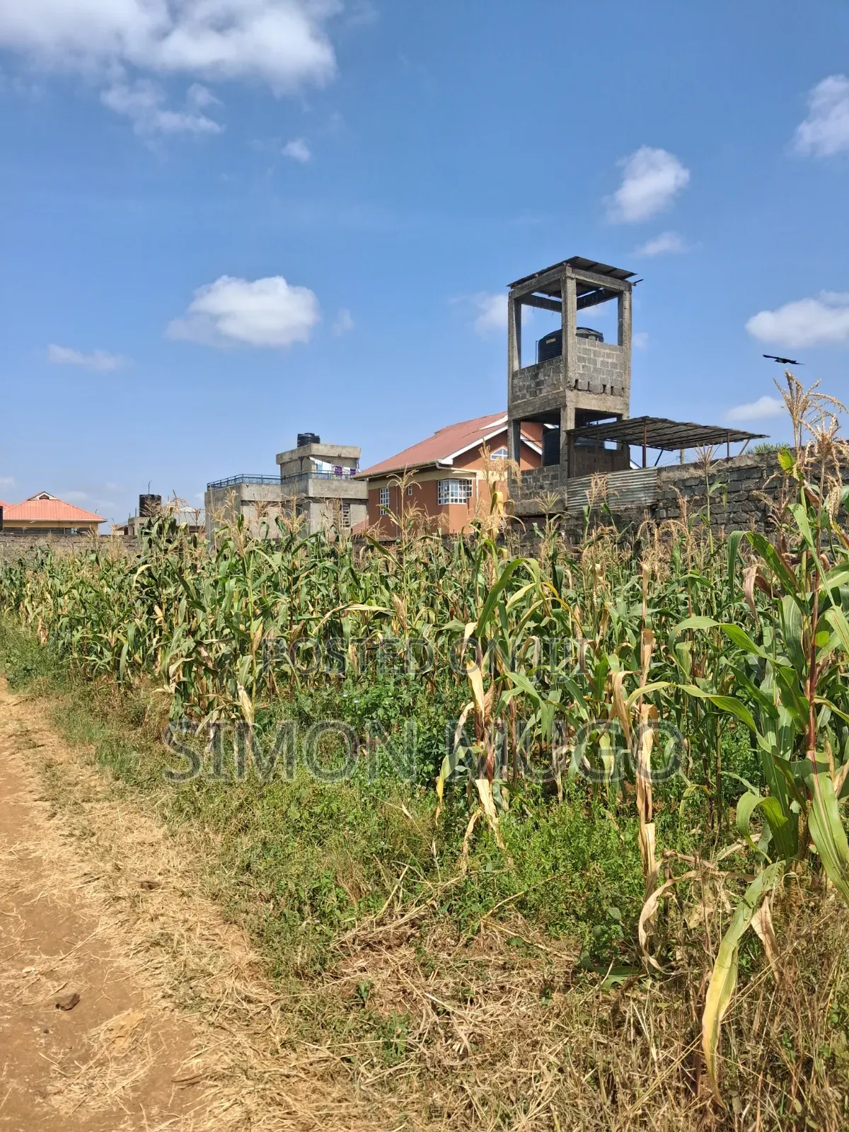 Ruiru Kimbo Matangi Prime 40x60 Ready Freehold Title in Membley Estate