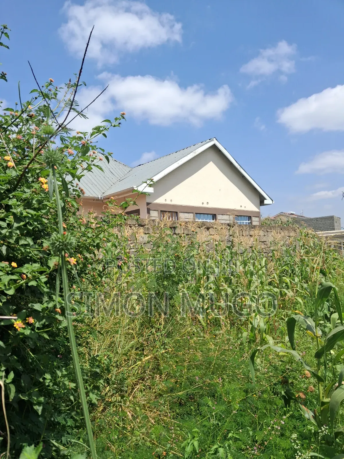 Ruiru Kimbo Matangi Prime 40x60 Ready Title in Membley Estate