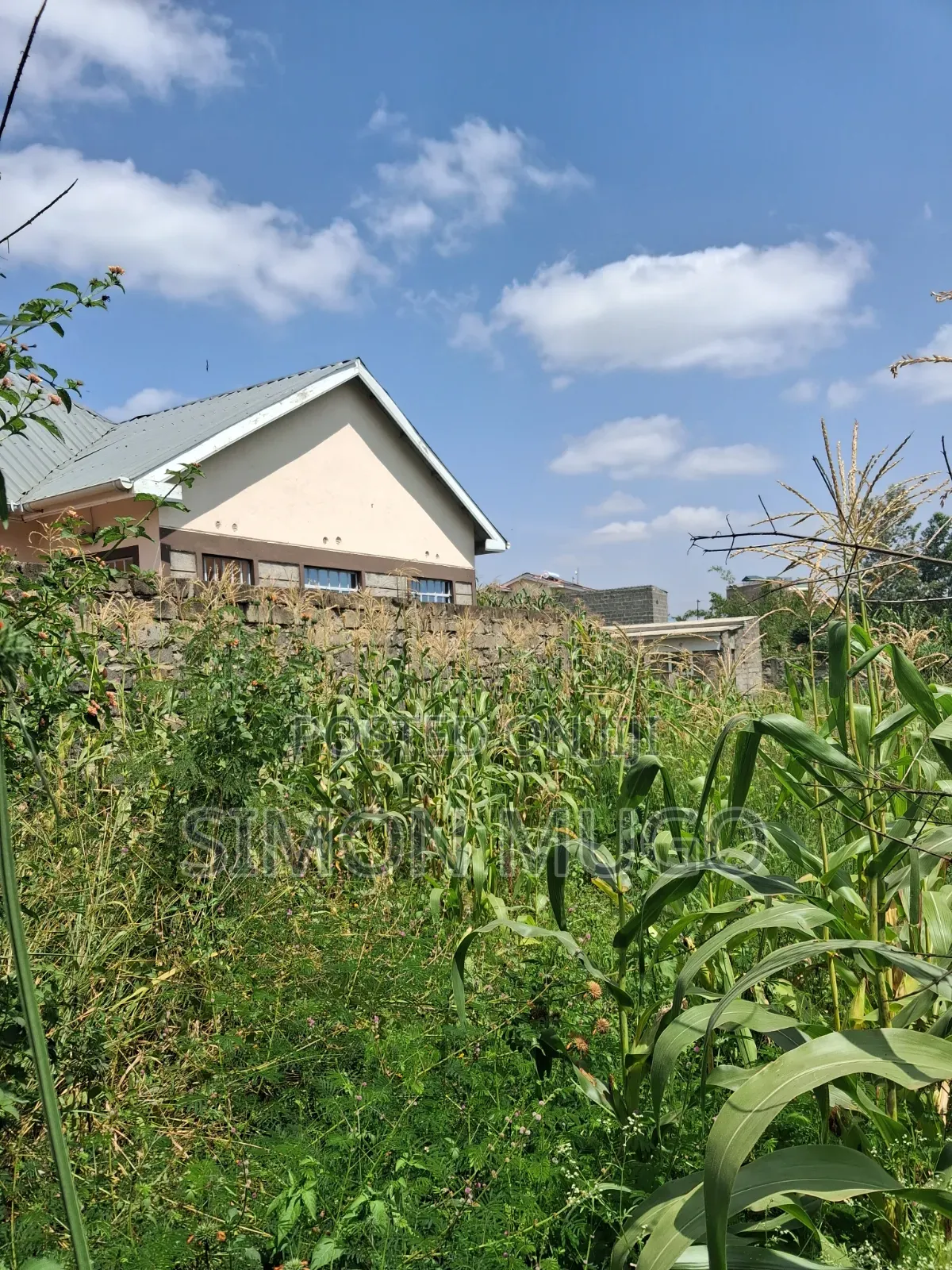 Ruiru Kimbo Matangi Prime 40x60 Ready Title in Membley Estate