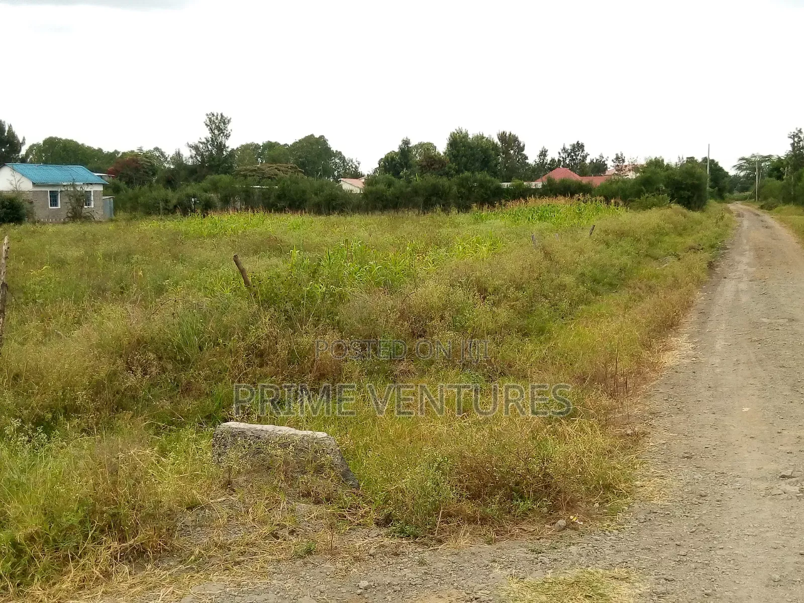 Prime Corner Plot Ruai Half Acre in Ruai