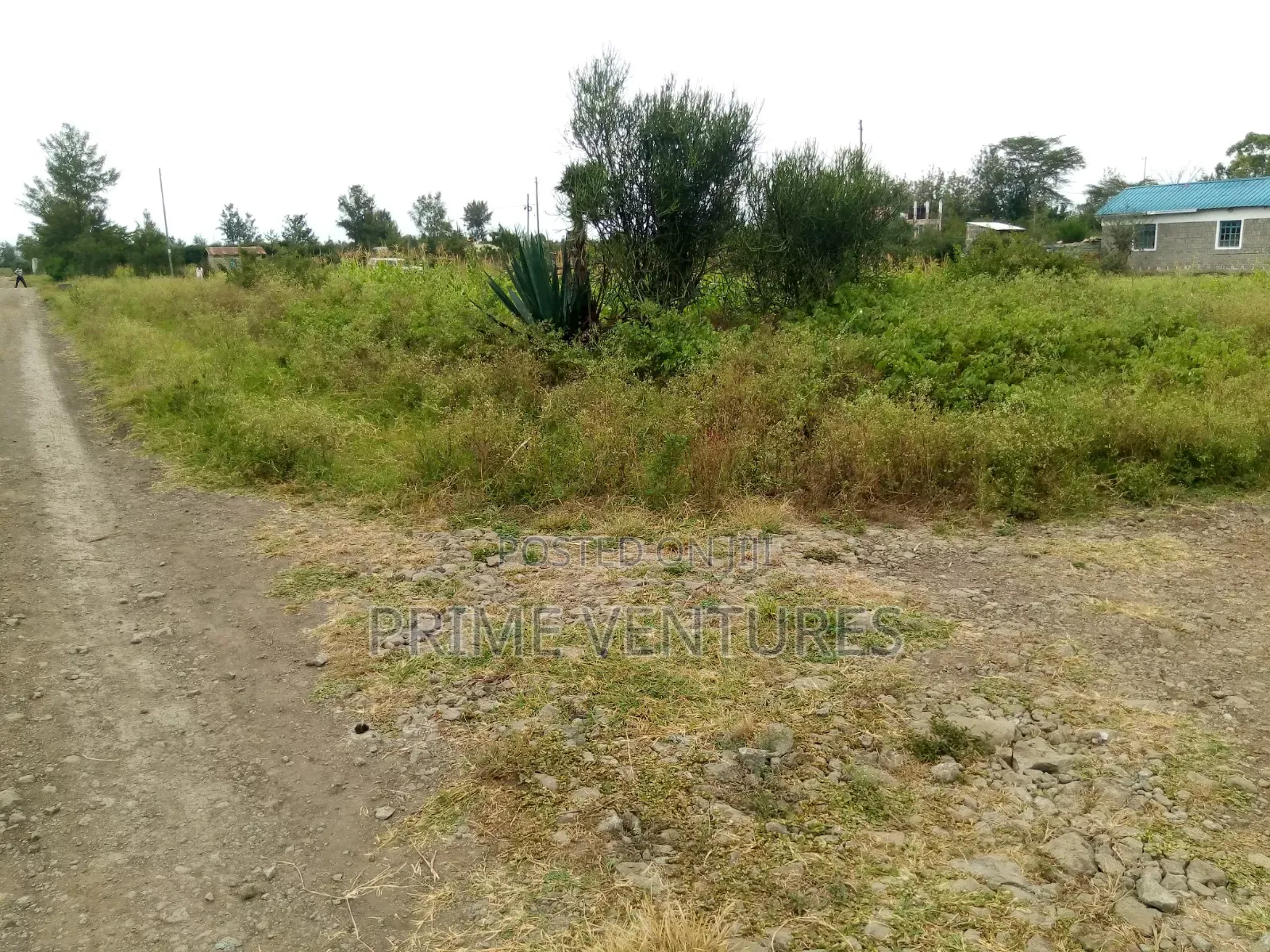 Prime Corner Plot Ruai Half Acre in Ruai