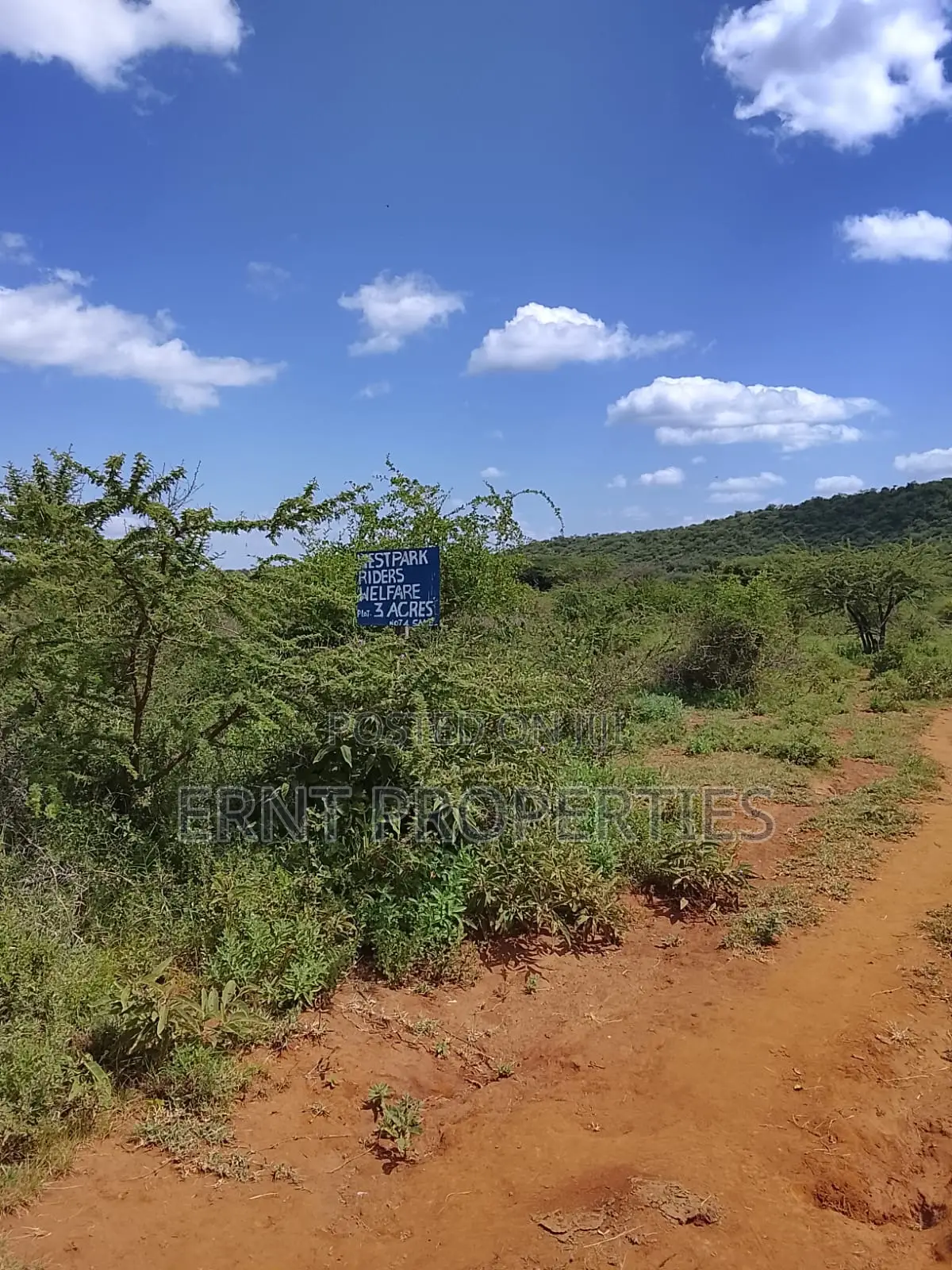 31 Acres of Prime Virgin Land for Sale in Saikeri in Ngong