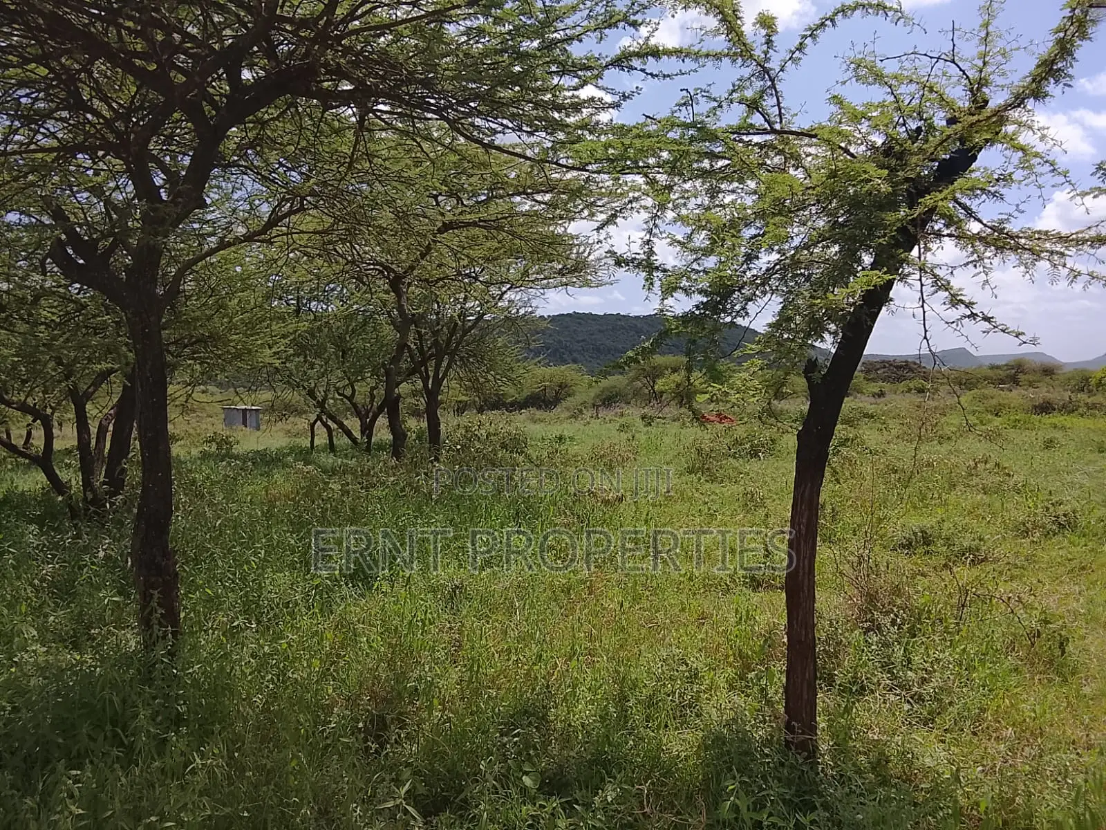 31 Acres of Prime Virgin Land for Sale in Saikeri in Ngong