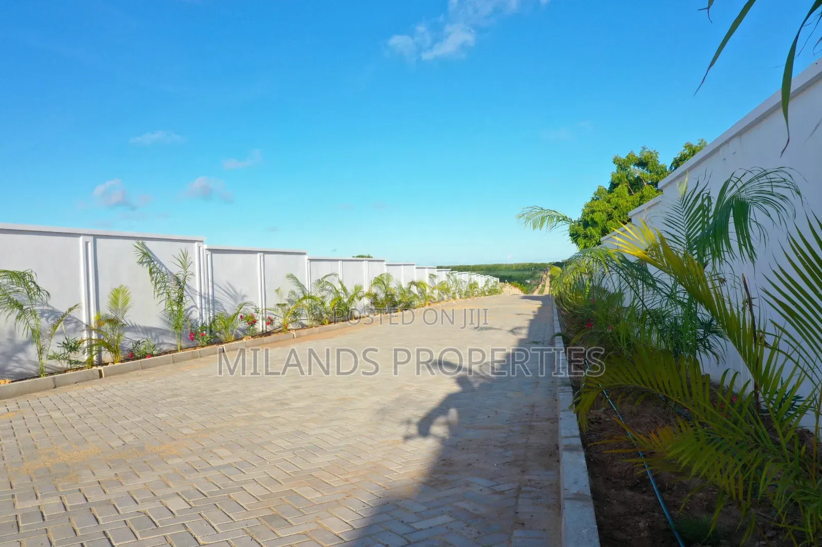 Land for Sale in Vipingo in Vipingo