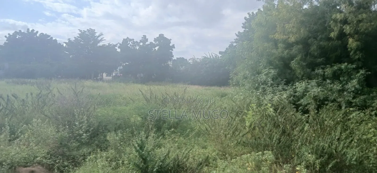 Prime 1/2 Acre Commercial Plot in Kilifi Town