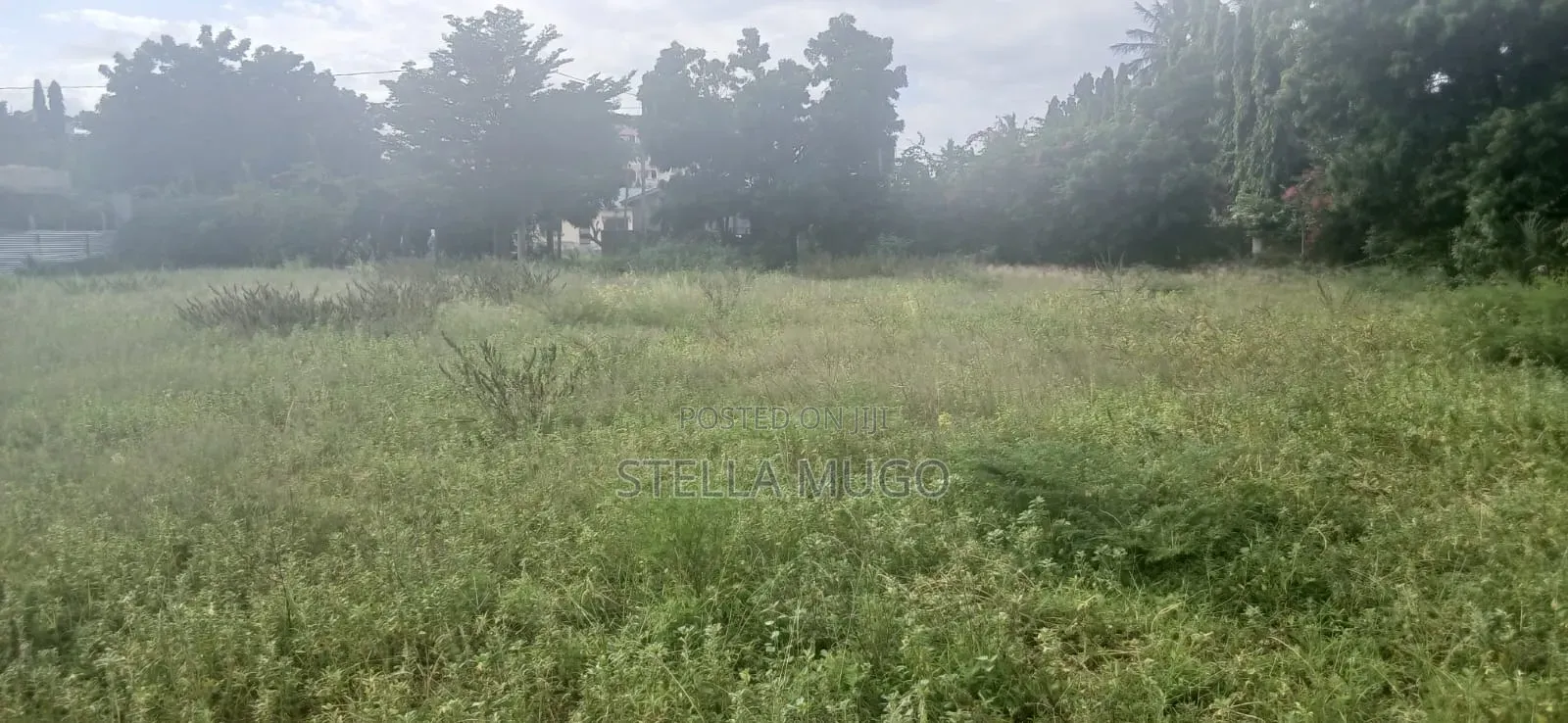 Prime 1/2 Acre Commercial Plot in Kilifi Town