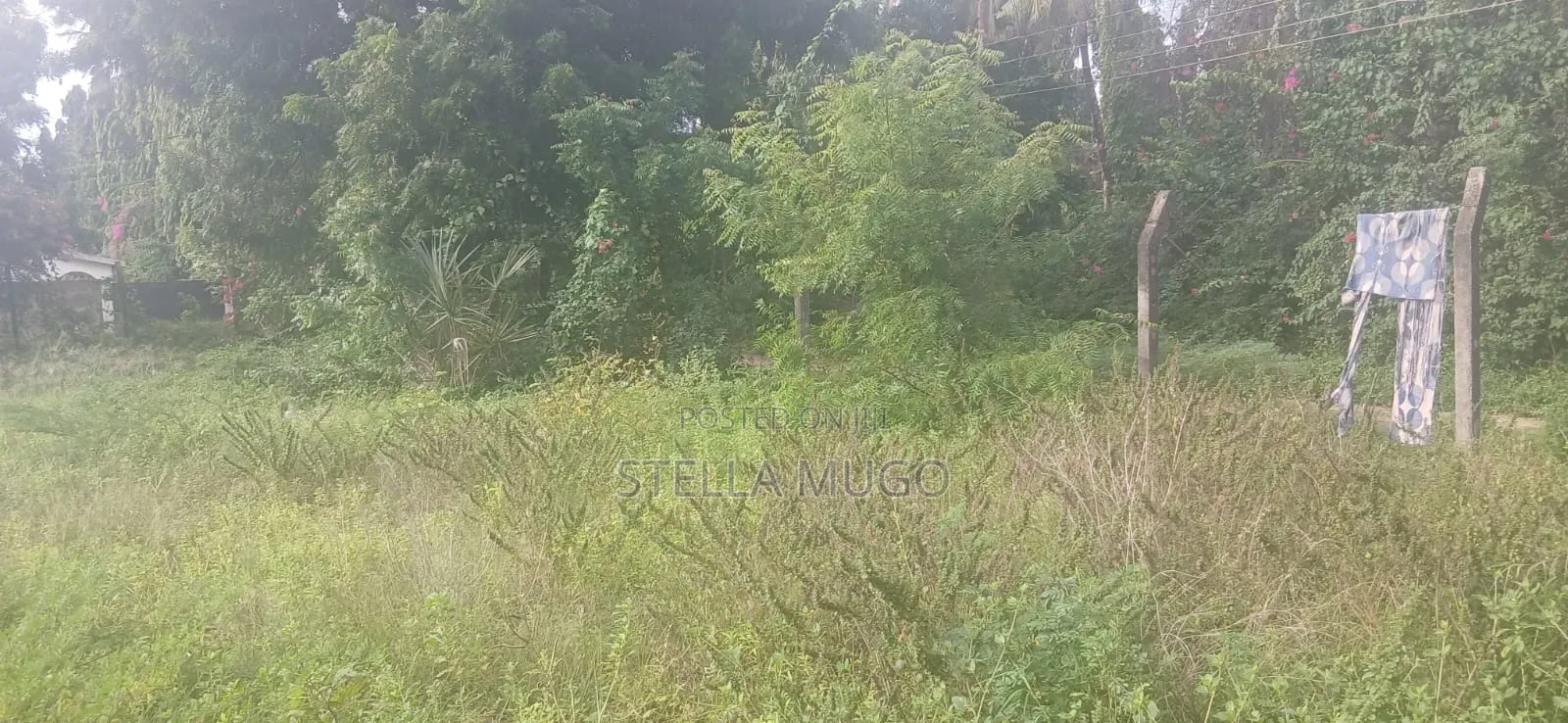 Prime 1/2 Acre Commercial Plot in Kilifi Town