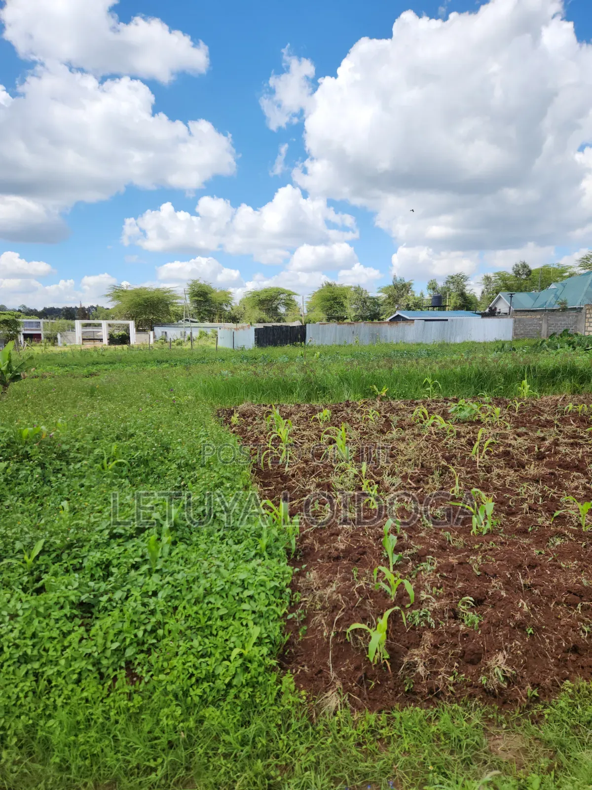 Ngong-Kibiko 3⁄4 Acre Maragara Road in Kibiku