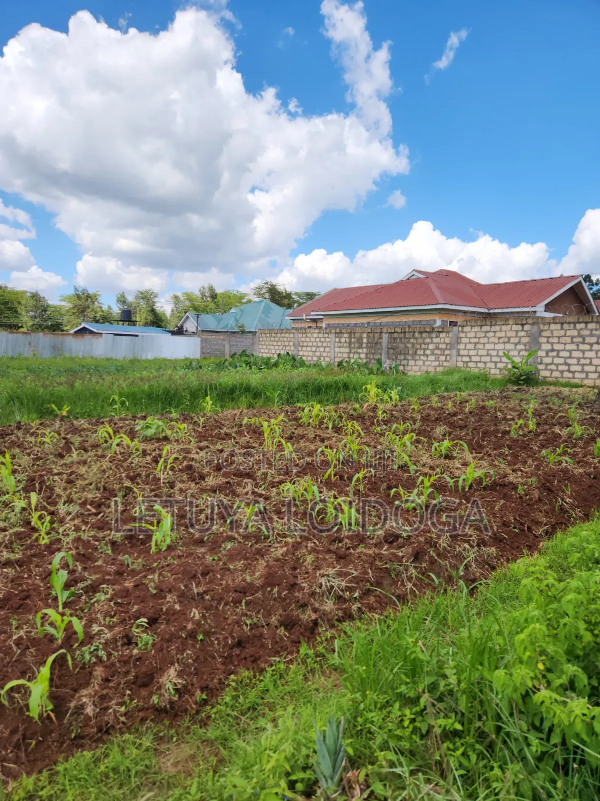 Ngong-Kibiko 3⁄4 Acre Maragara Road in Kibiku