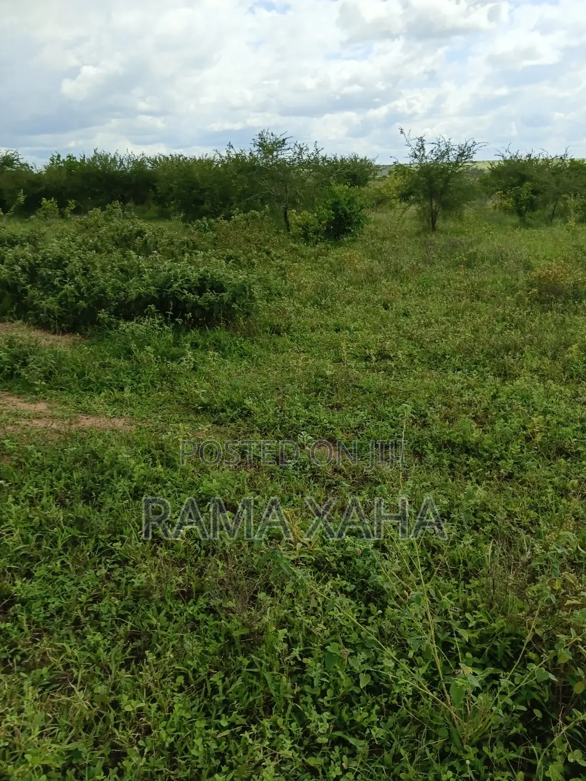 2.5 Acres for Sale at Sosobora With Ready Title Deed in Jilore