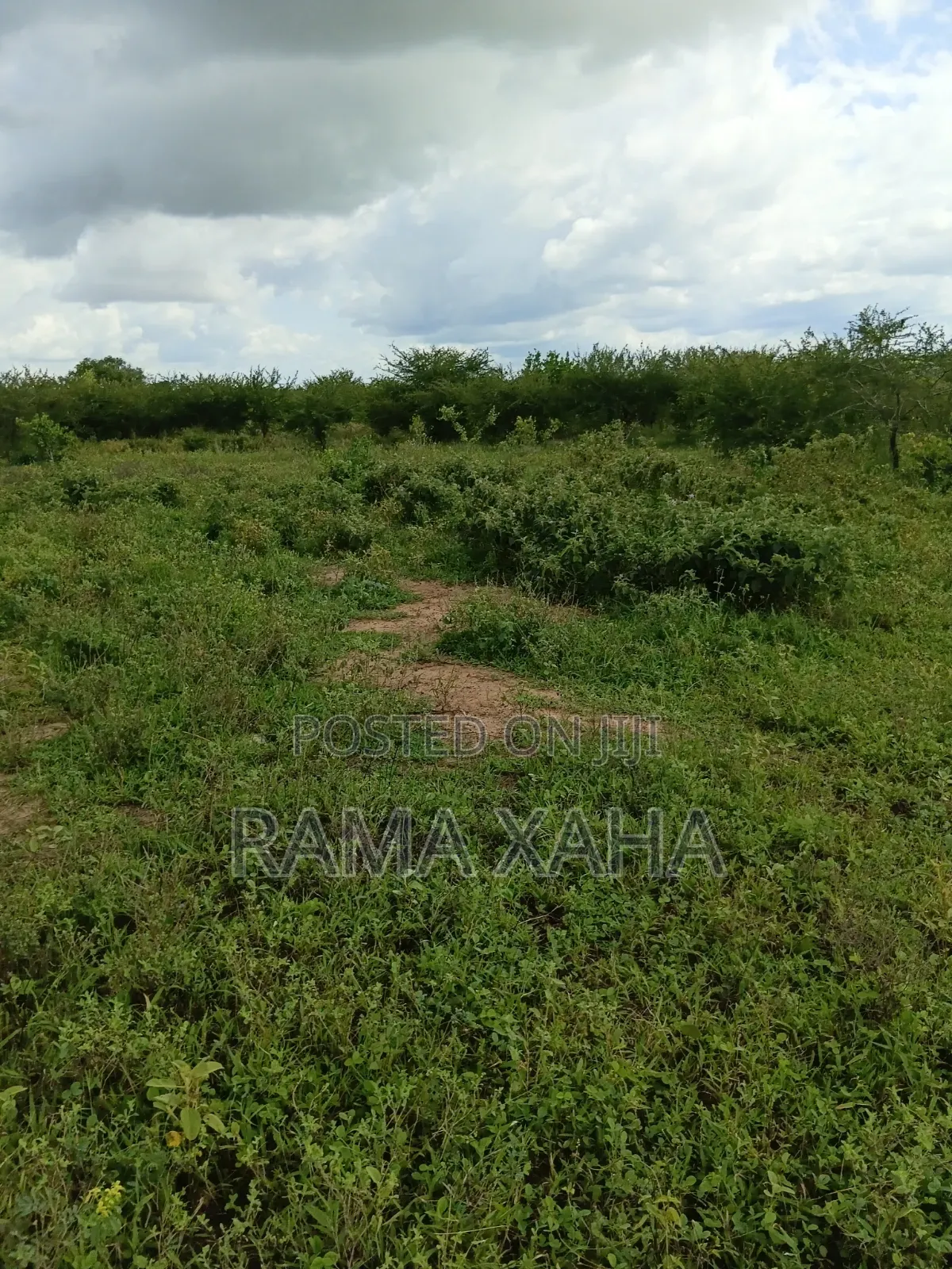 2.5 Acres for Sale at Sosobora With Ready Title Deed in Jilore