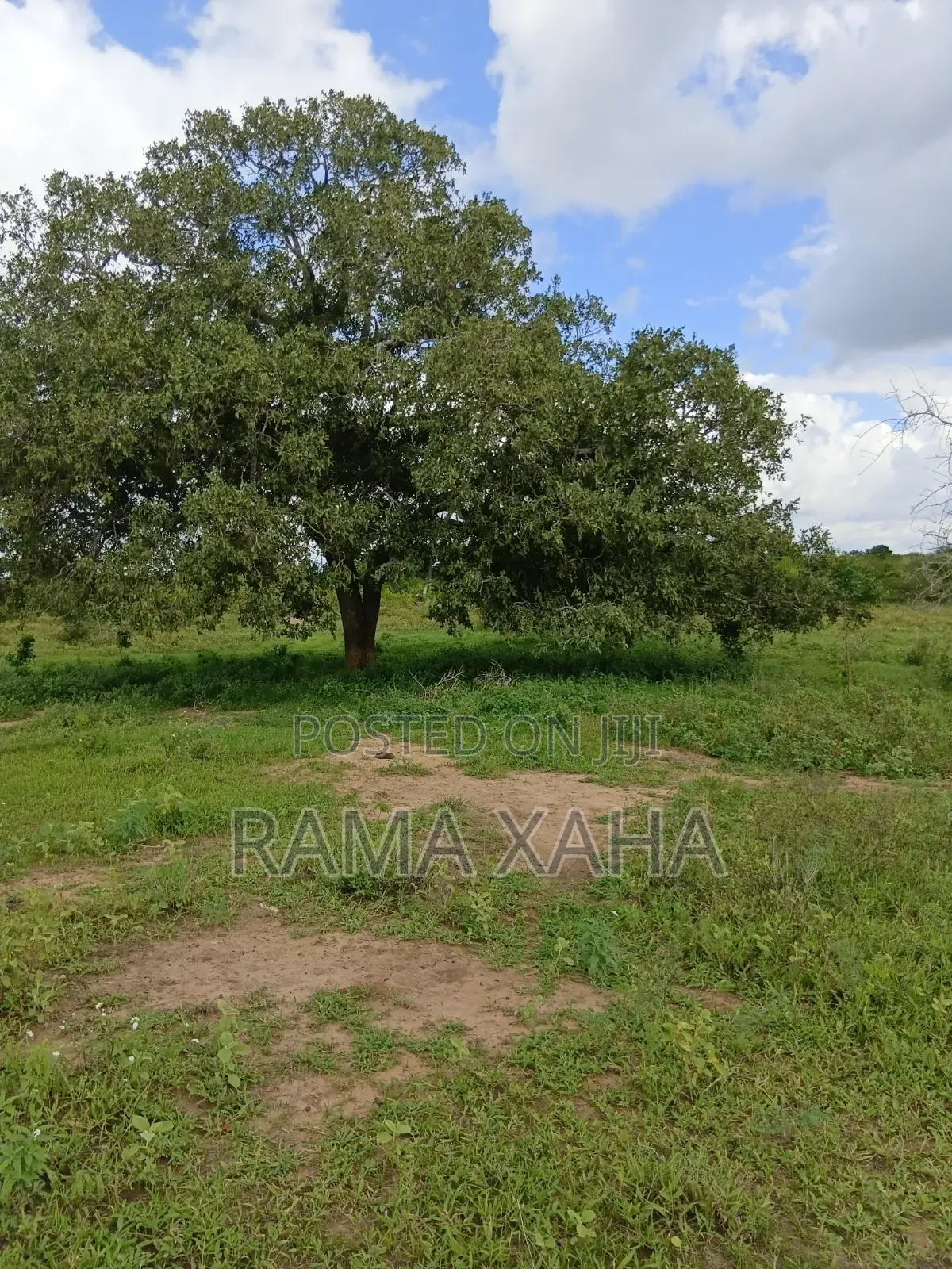2.5 Acres for Sale at Sosobora With Ready Title Deed in Jilore