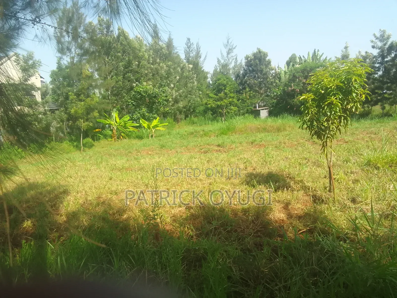 Prime Land for Sale in Kisumu Nyahera in Nyahera