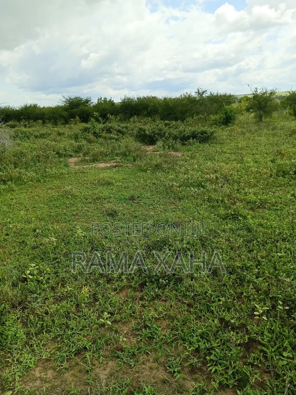 2.5 Acres for Sale at Sosobora With Ready Title Deed in Jilore