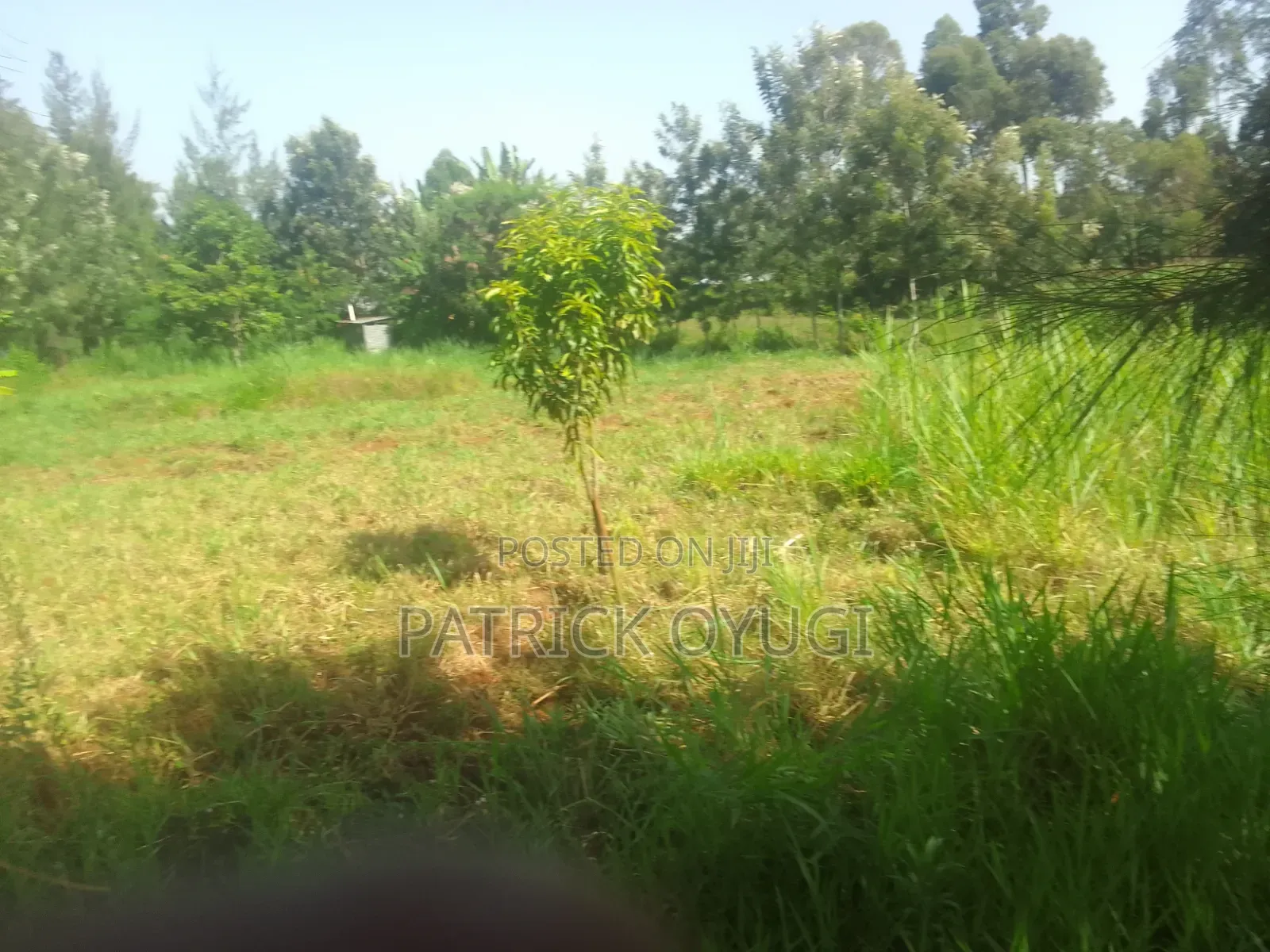 Prime Land for Sale in Kisumu Nyahera in Nyahera