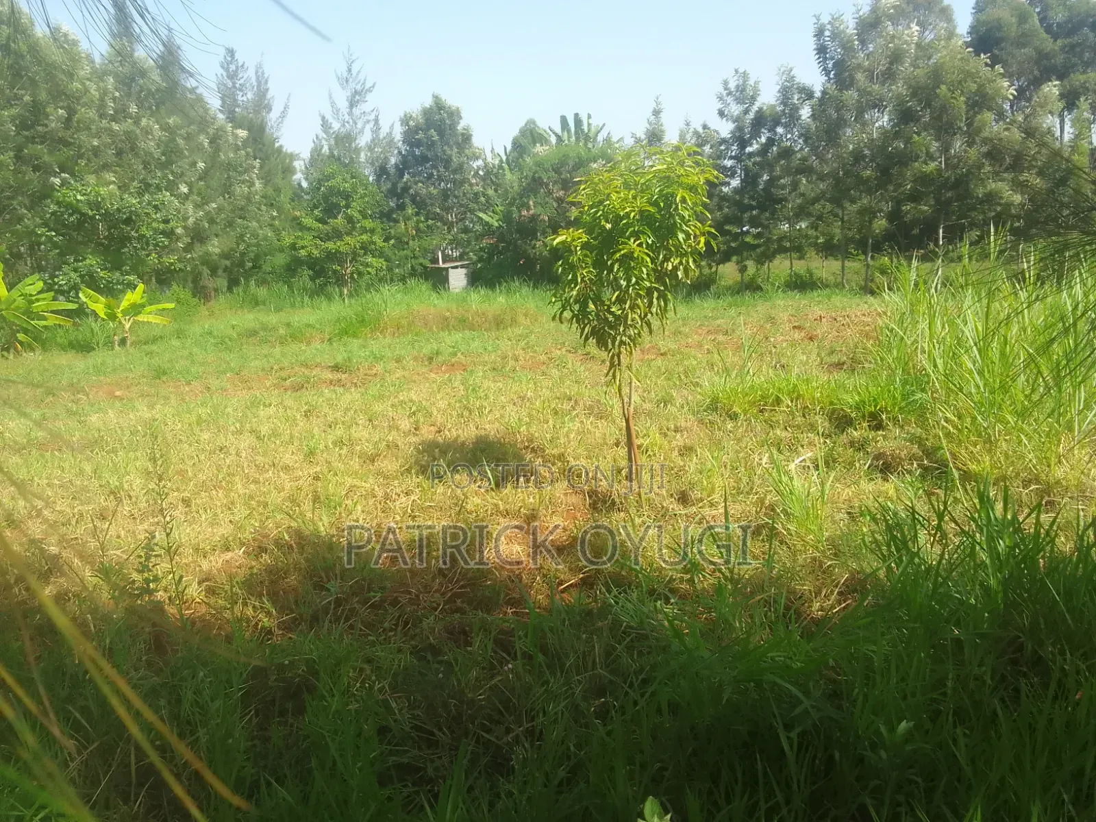 Prime Land for Sale in Kisumu Nyahera in Nyahera