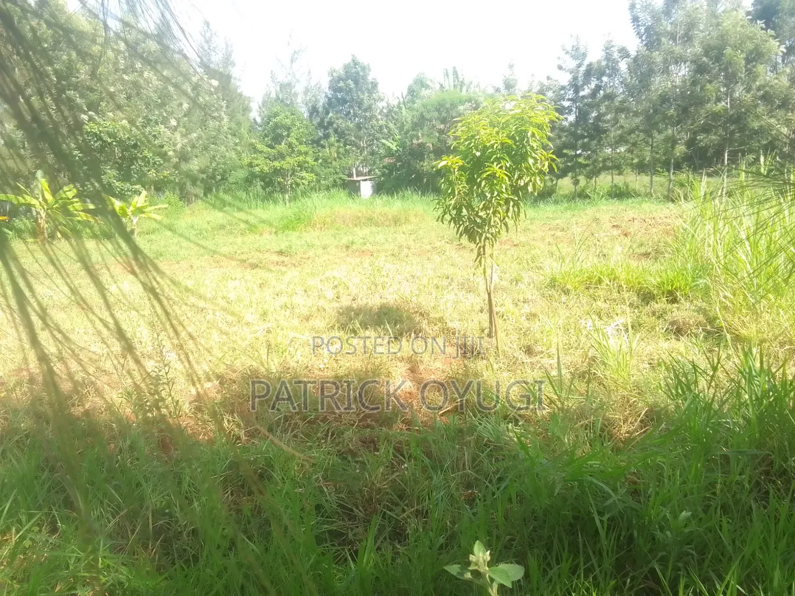 Prime Land for Sale in Kisumu Nyahera in Nyahera