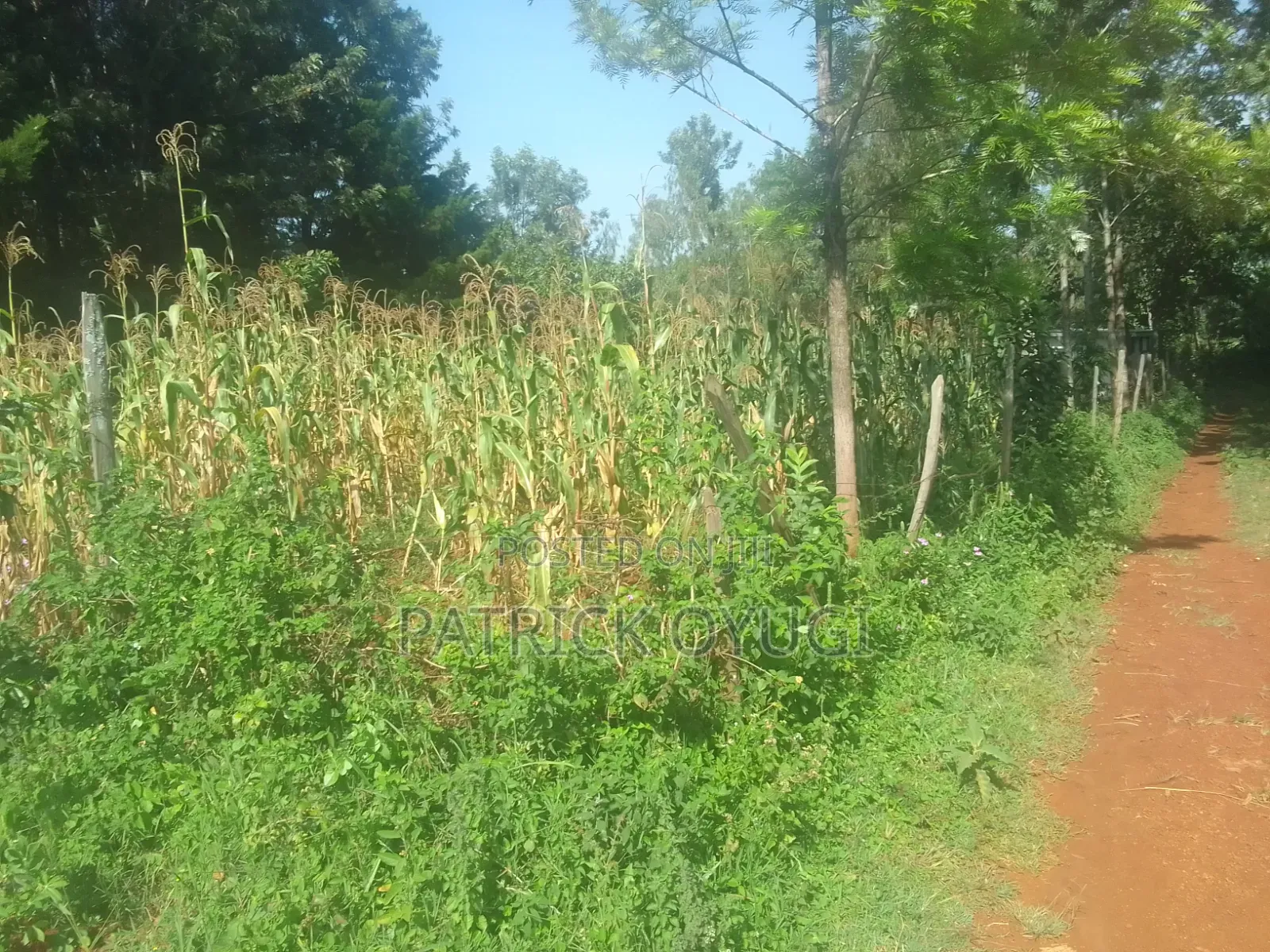 Nyahera Land for Sale in Nyahera