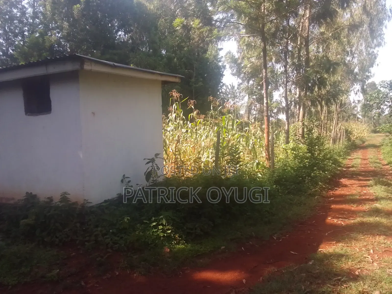 Nyahera Land for Sale in Nyahera
