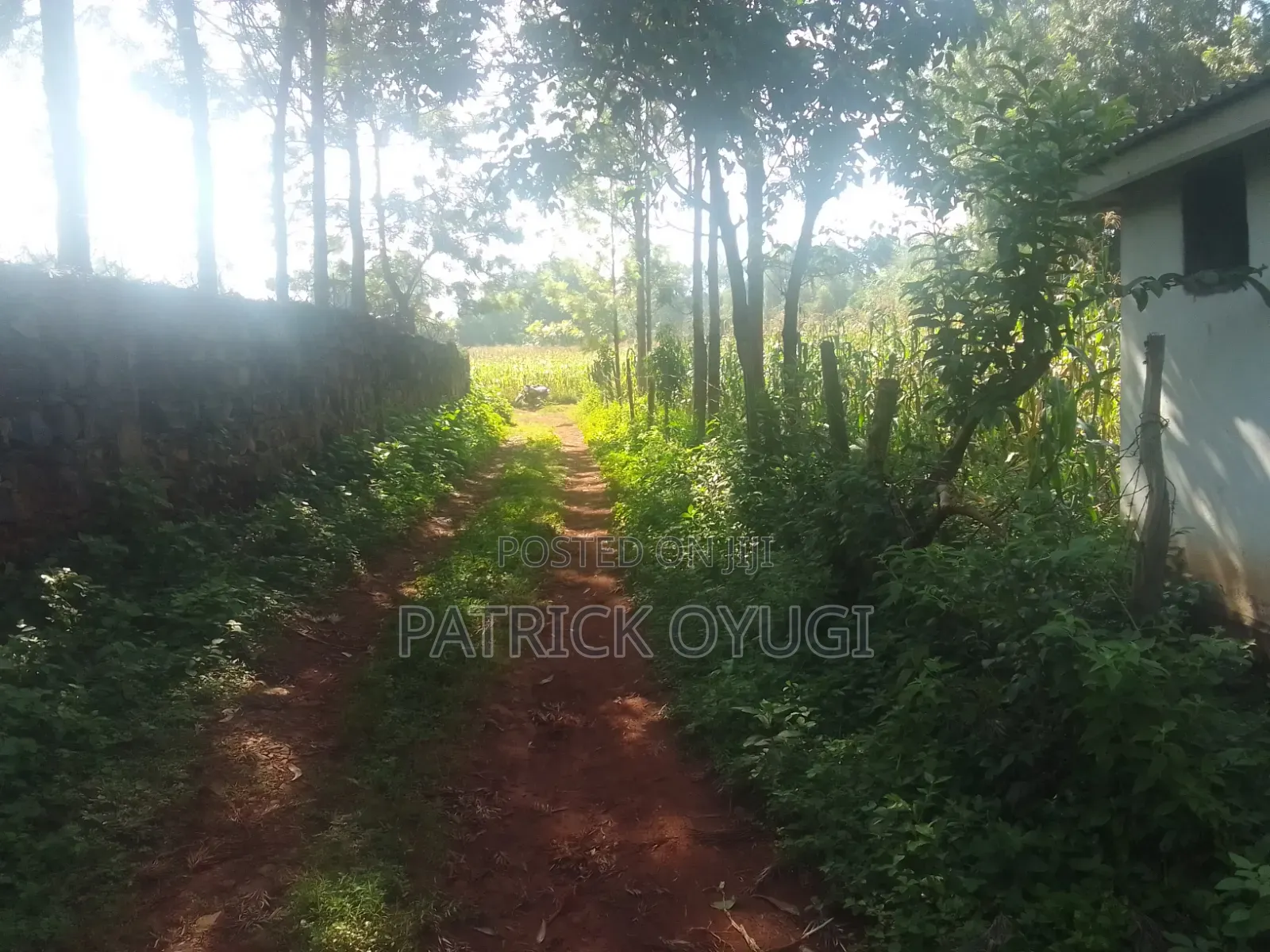 Nyahera Land for Sale in Nyahera