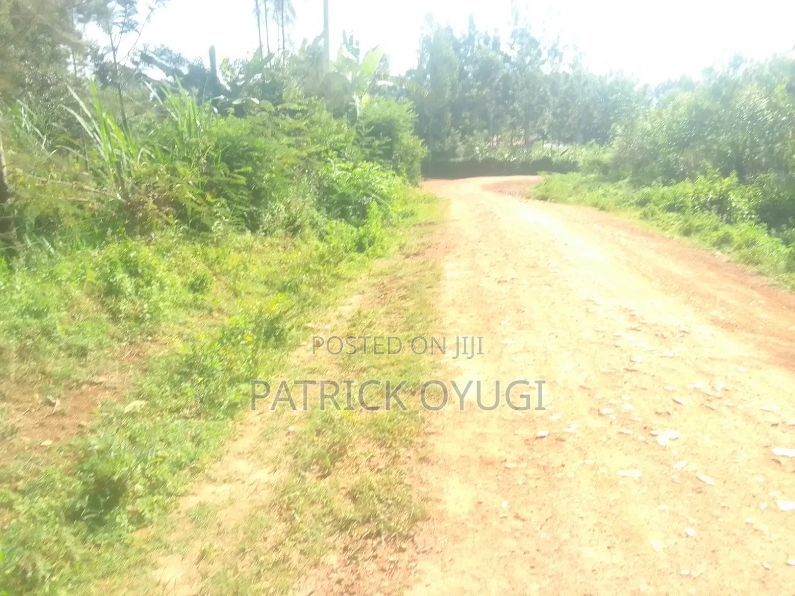 Nyahera Land for Sale in Nyahera