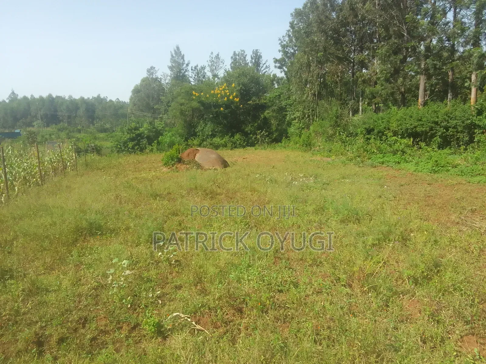 Kisumu Nyahera Land for Sale in Nyahera