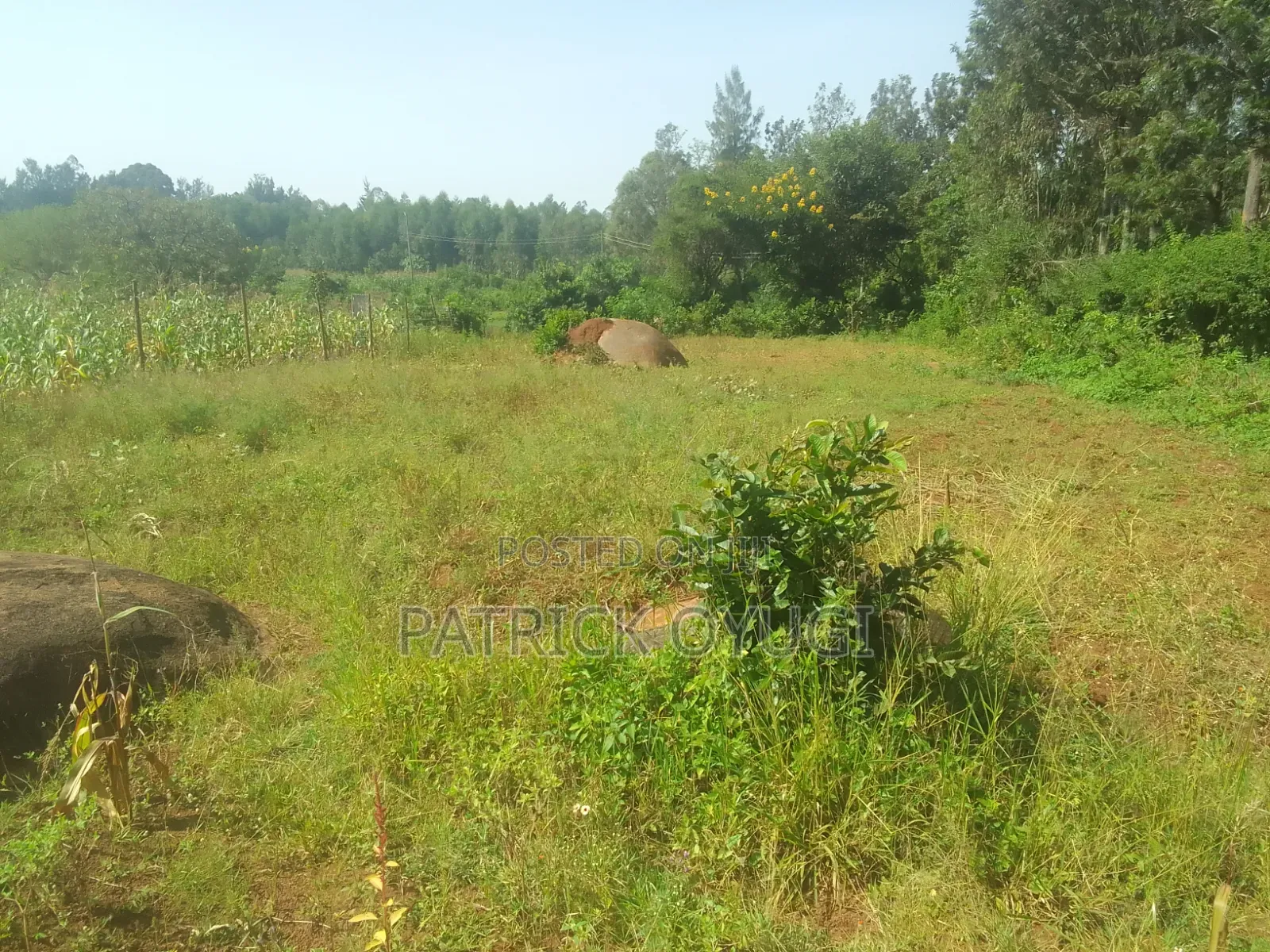 Kisumu Nyahera Land for Sale in Nyahera