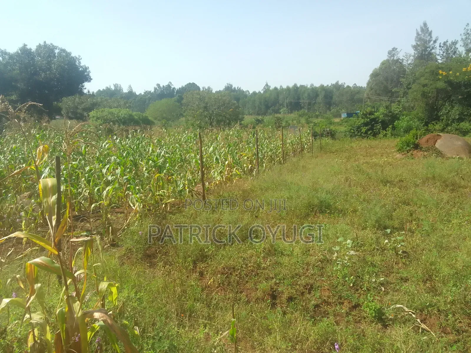 Kisumu Nyahera Land for Sale in Nyahera