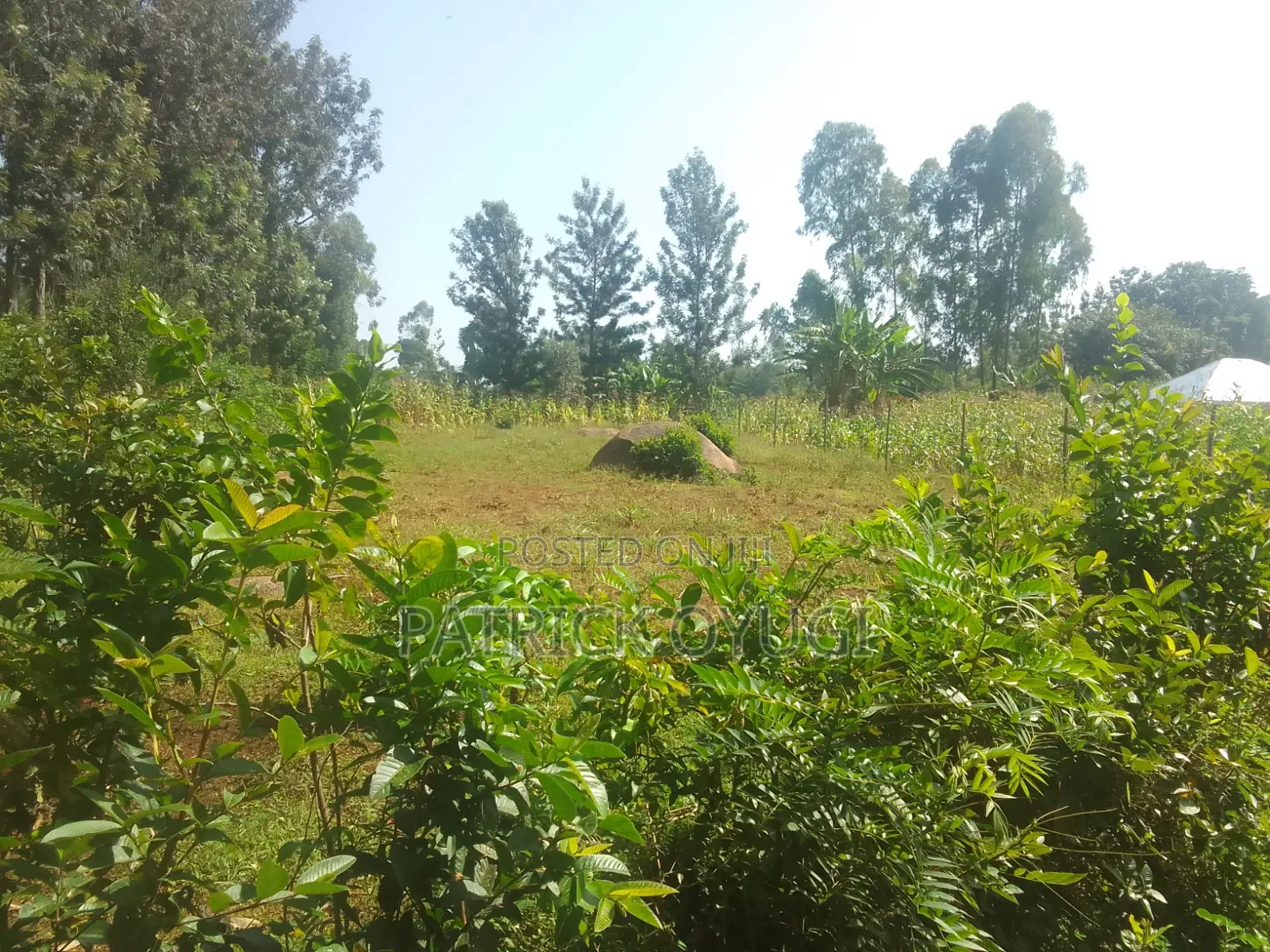 Kisumu Nyahera Land for Sale in Nyahera