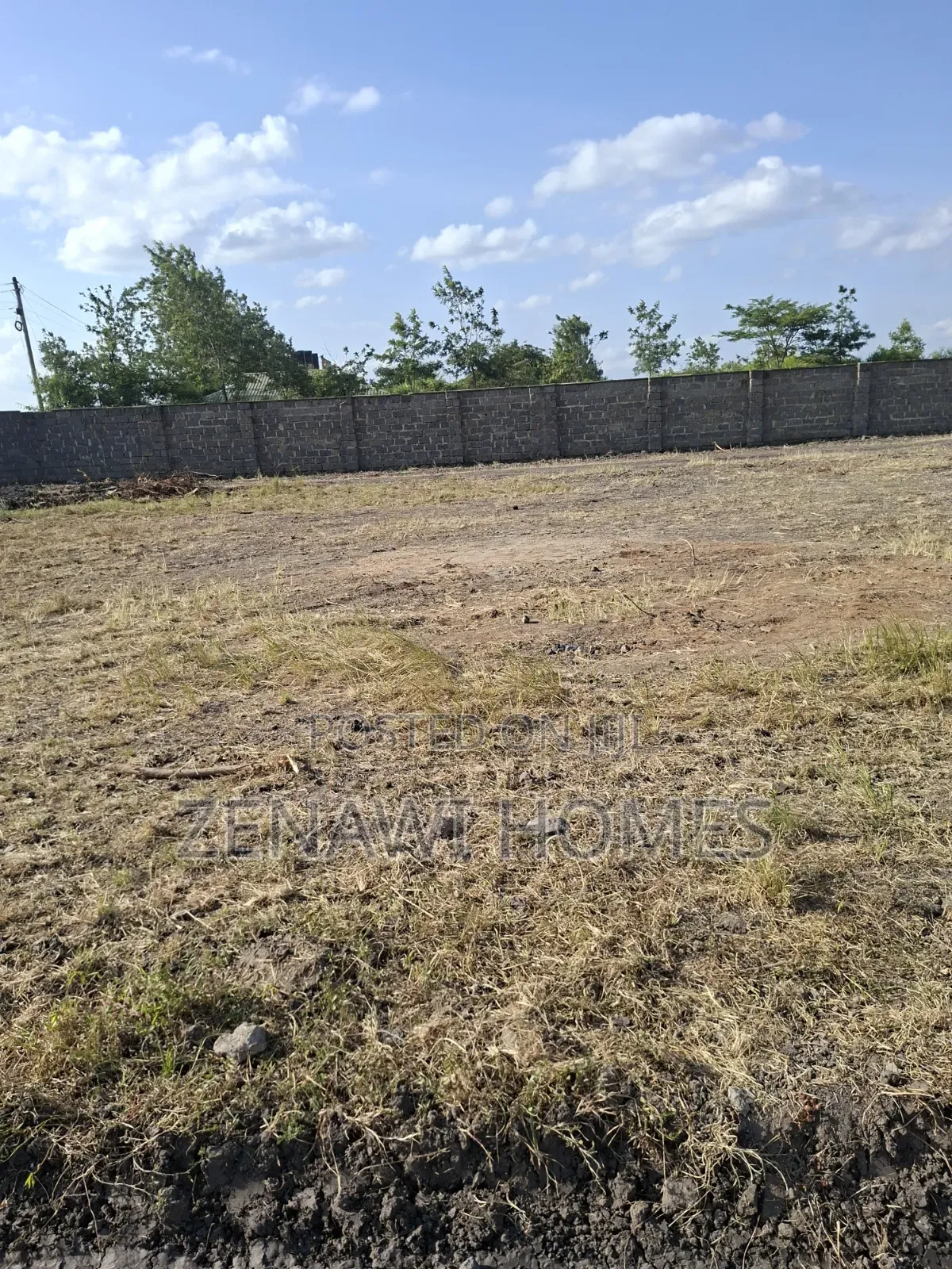 Biy and Build Immediately Jr in Kalimoni