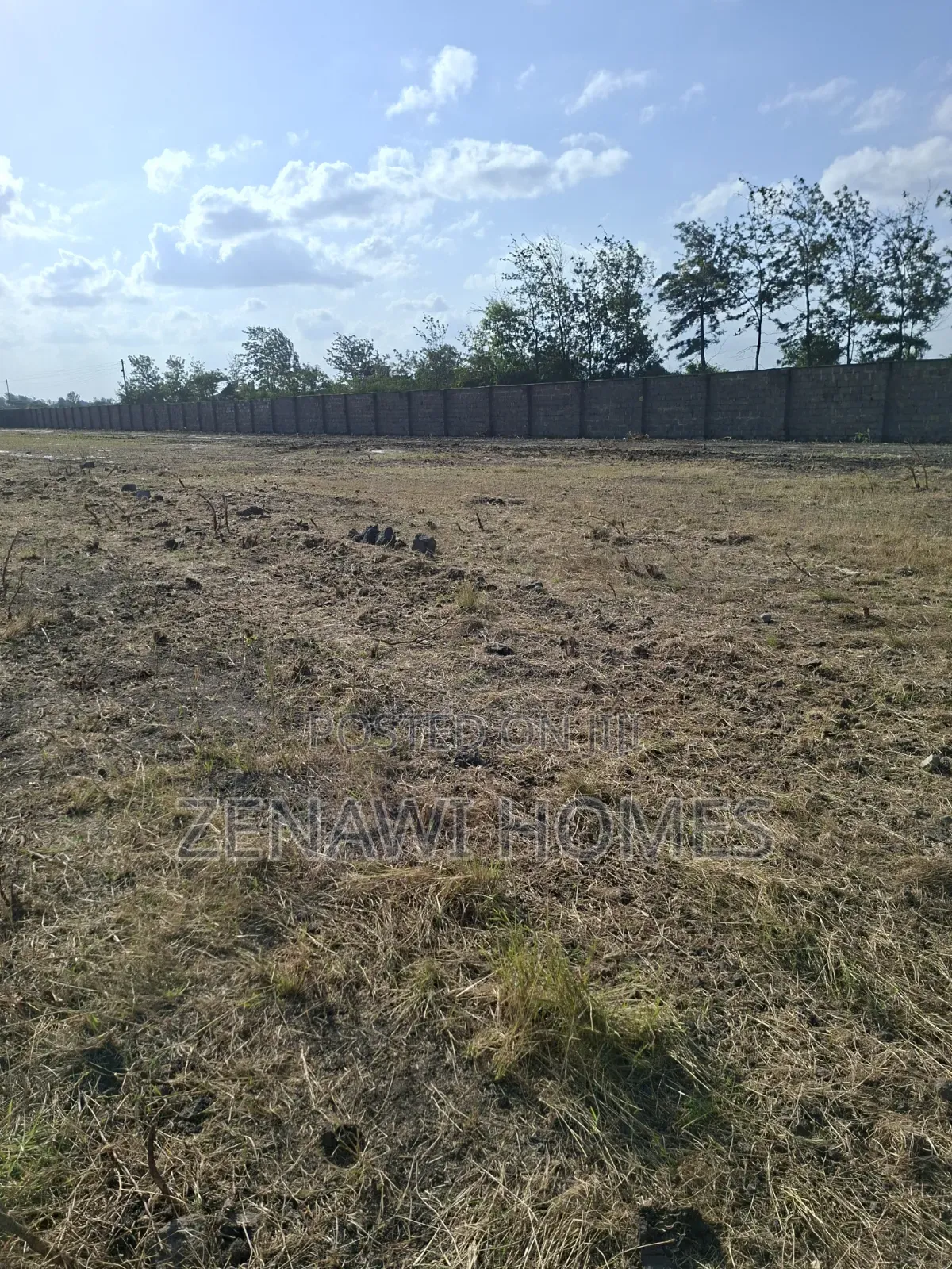 Biy and Build Immediately Jr in Kalimoni