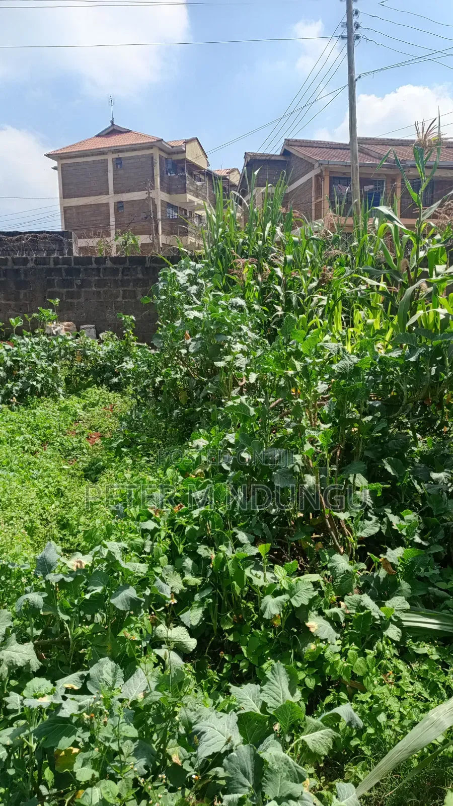 Kikuyu Town- Kidfarmaco Commercial 50*153 Ft, Prime Land in Kidfarmaco