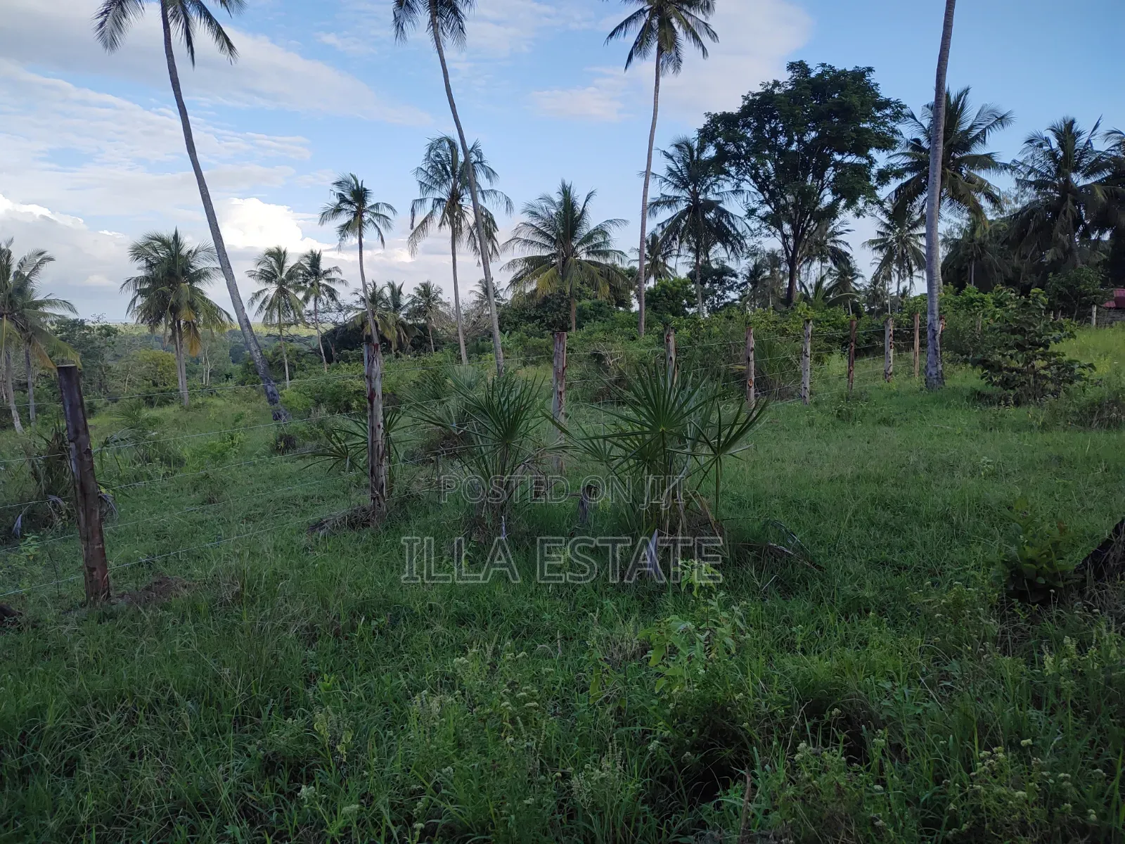 Uninterrupted Panoramic Ocean View Plot in Diani