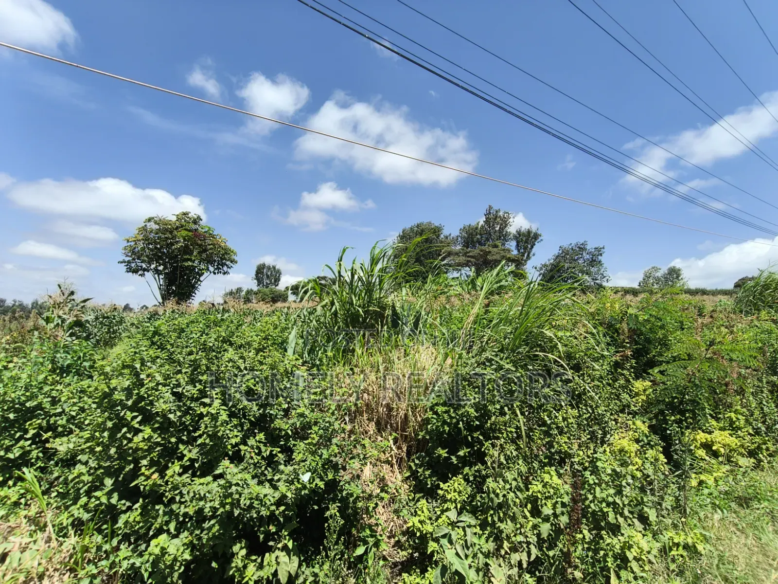 4 Acres Touching Tarmac for Sale in Olkeri, Ngong. Red Soil Land in Ol Keri