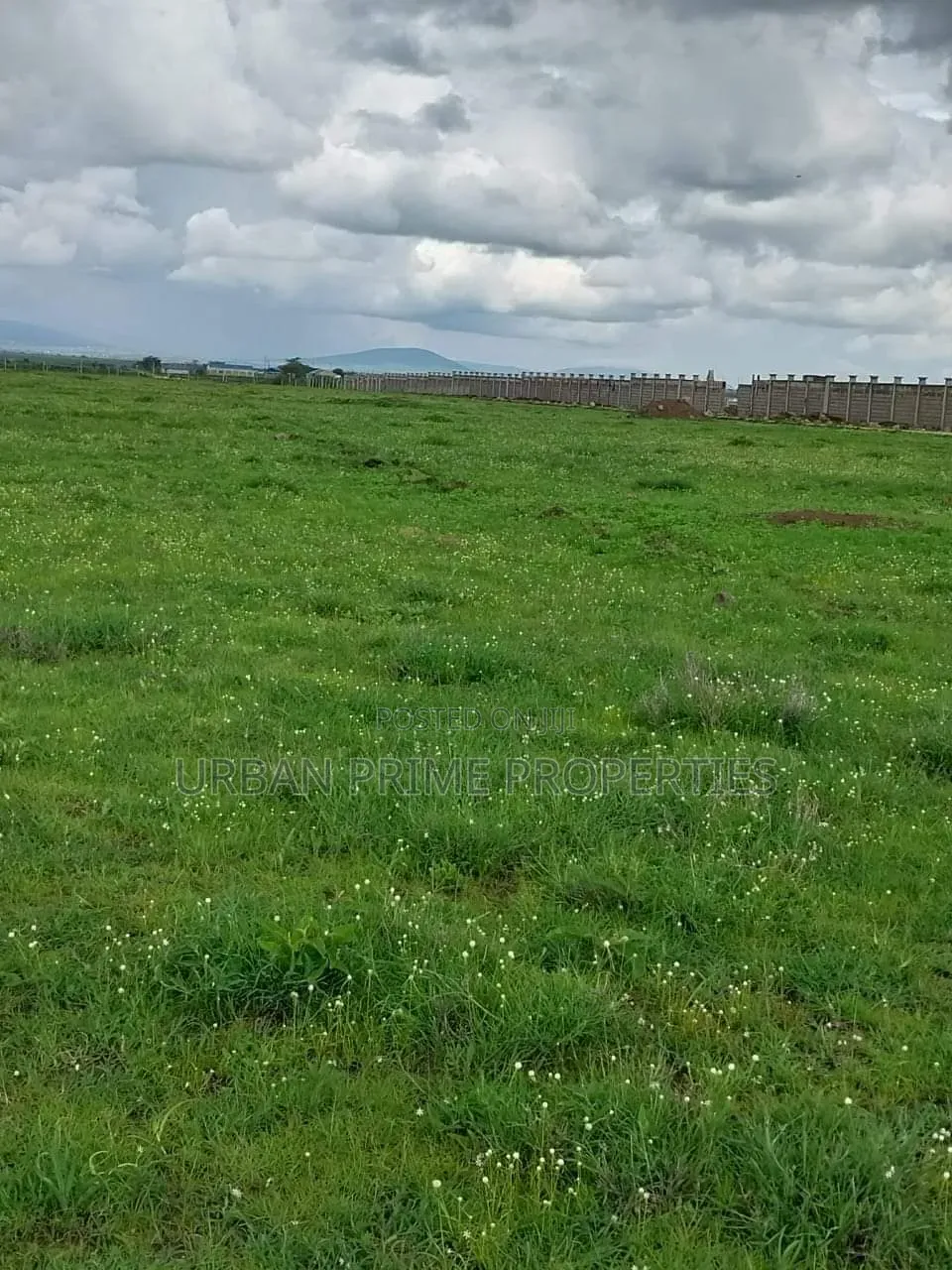 Plots for Sale in Kitengela Kca in Kitengela