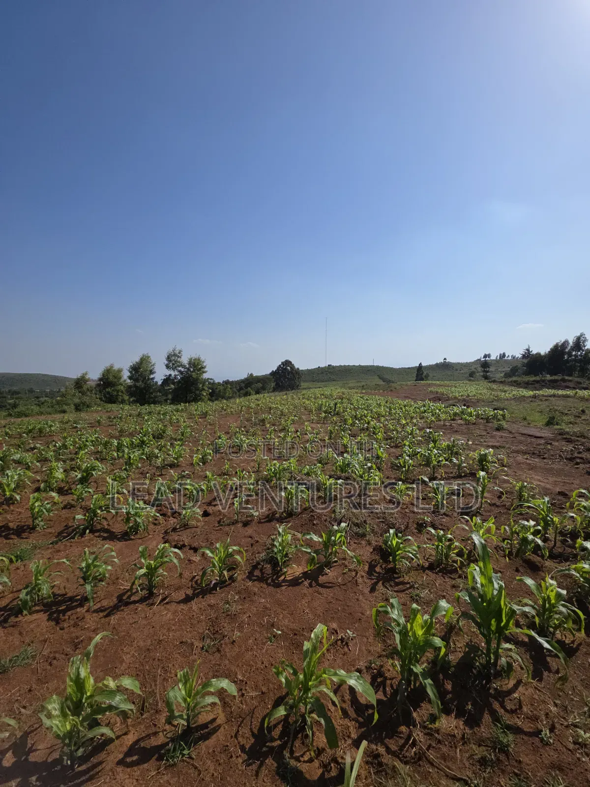 50×100 Plots at Kikuyu, Thigio in Kikuyu